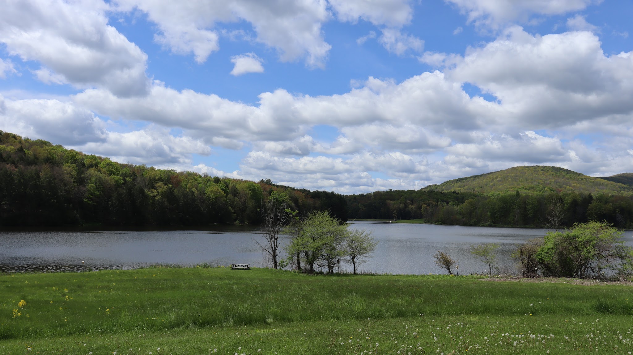 Mt Pisgah State Park