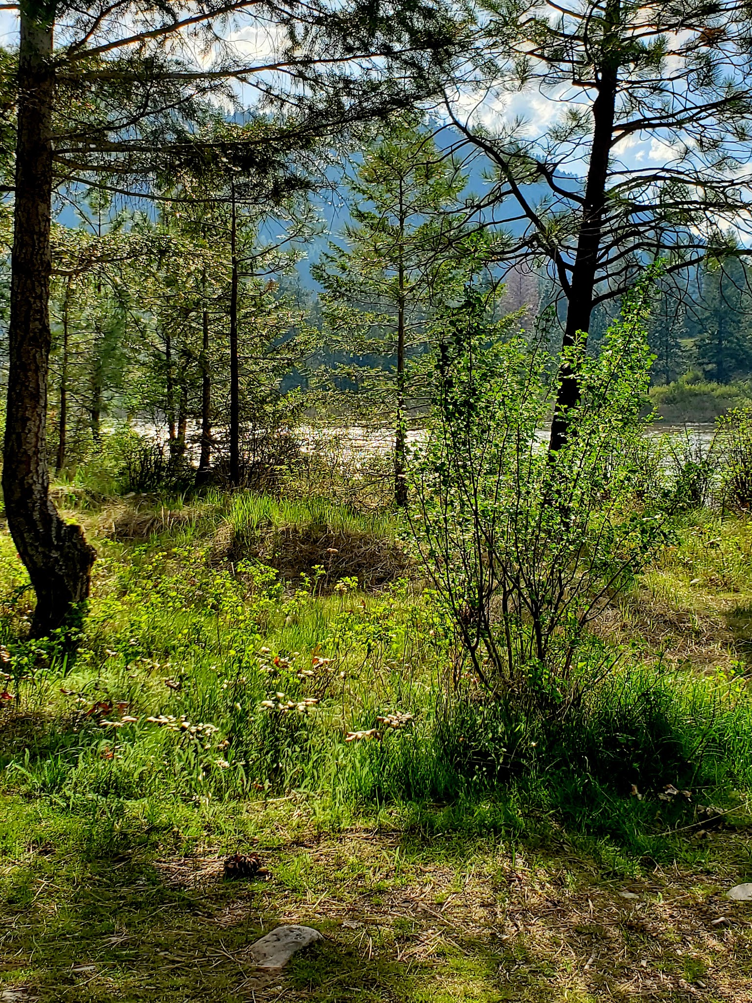 Muchwater Dispersed Campground And Recreation Area