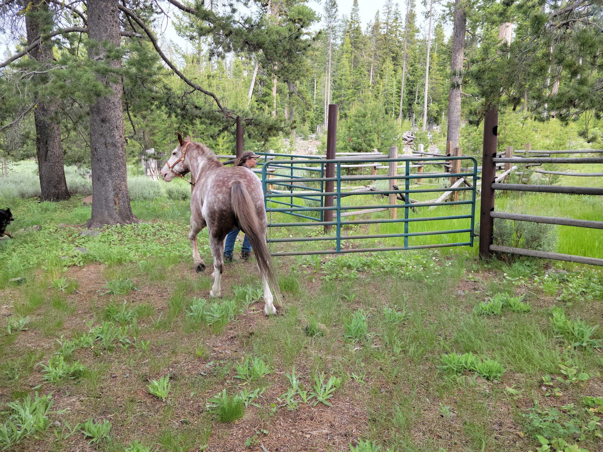 Mud Creek Campground