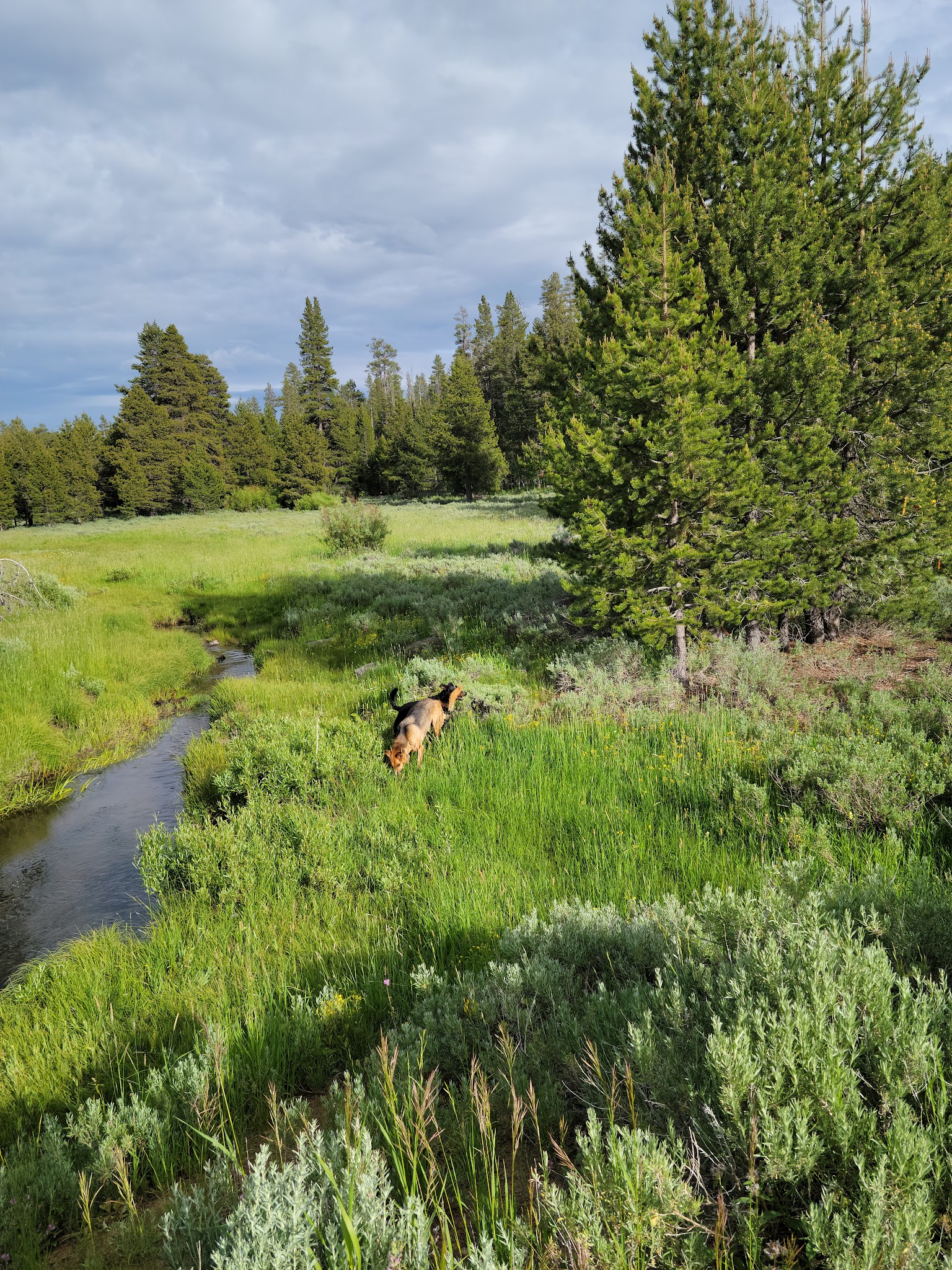 Mud Creek Campground