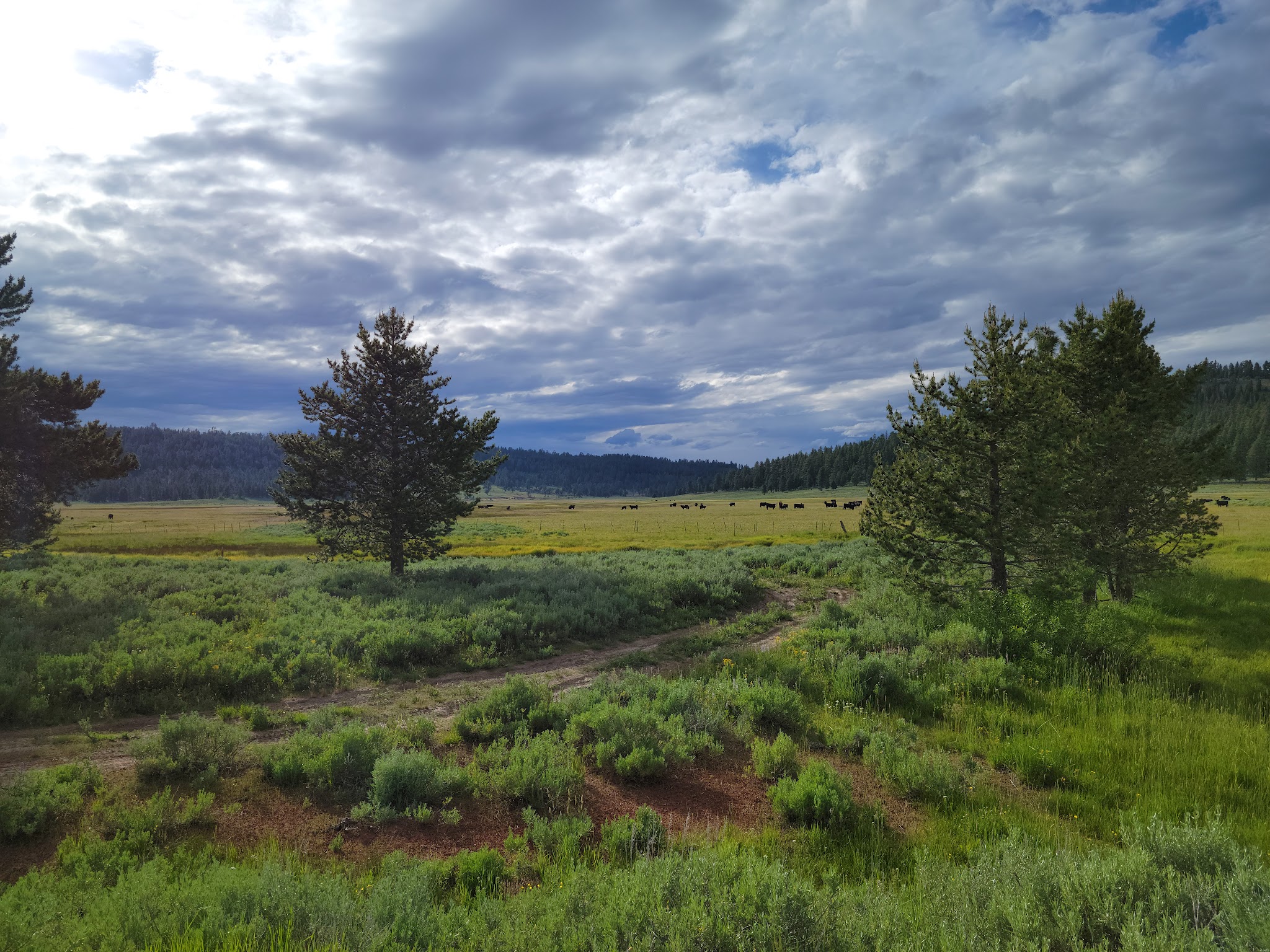 Mud Creek Campground