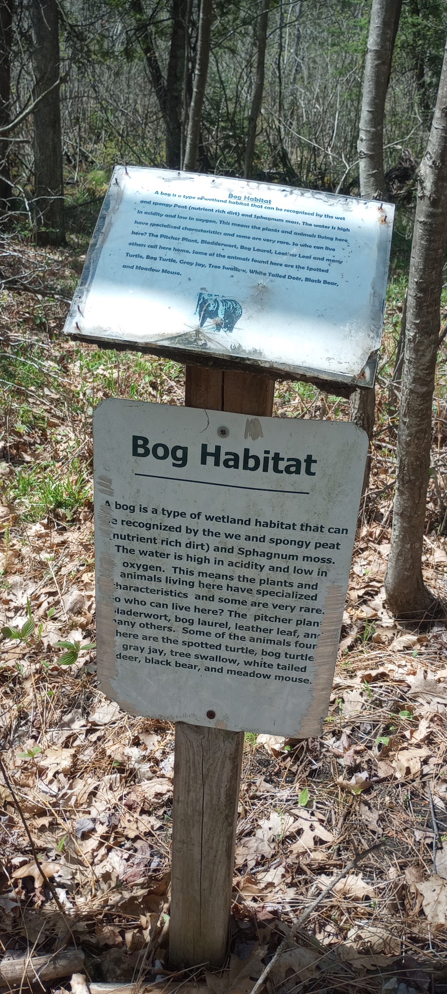 Mud Lake State Forest Campground