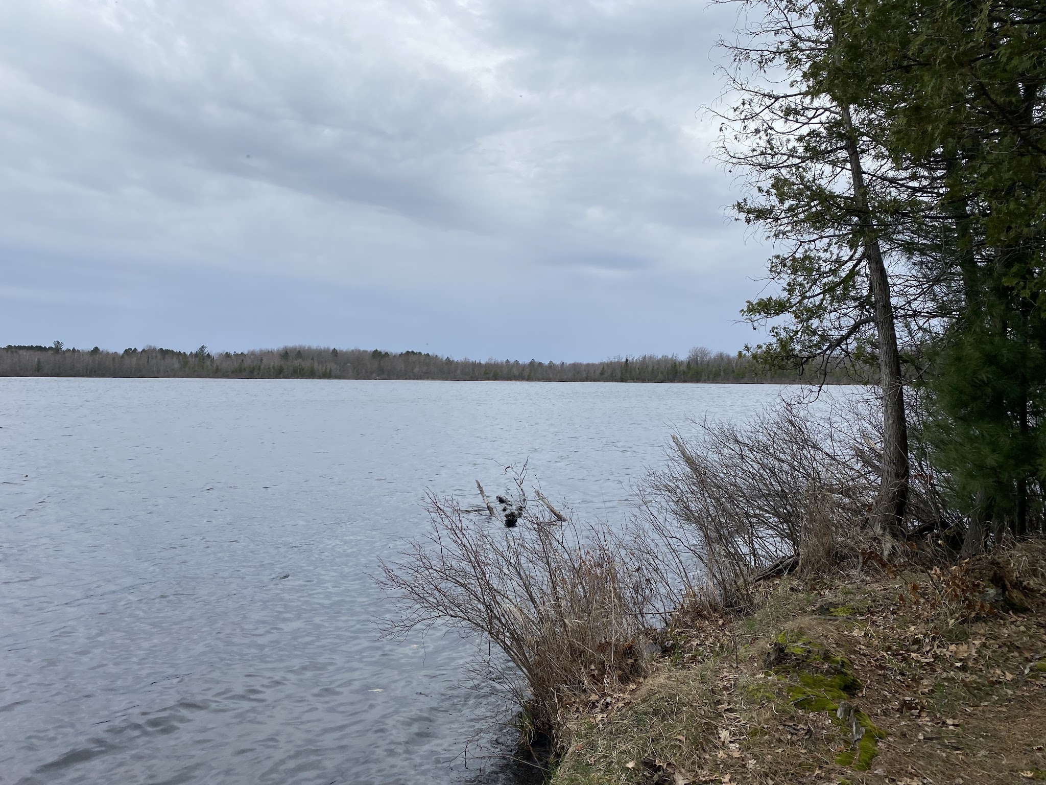 Mud Lake State Forest Campground