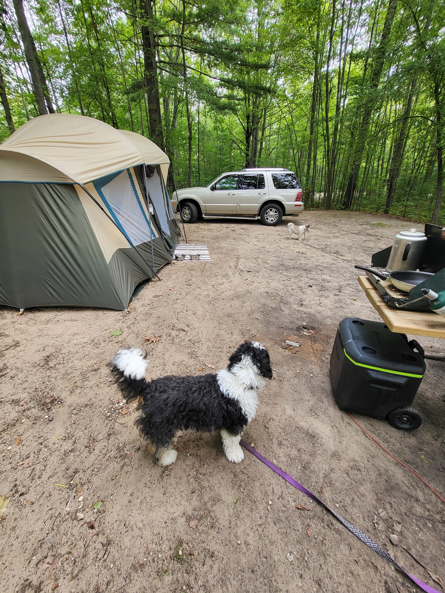 Mud Lake State Forest Campground