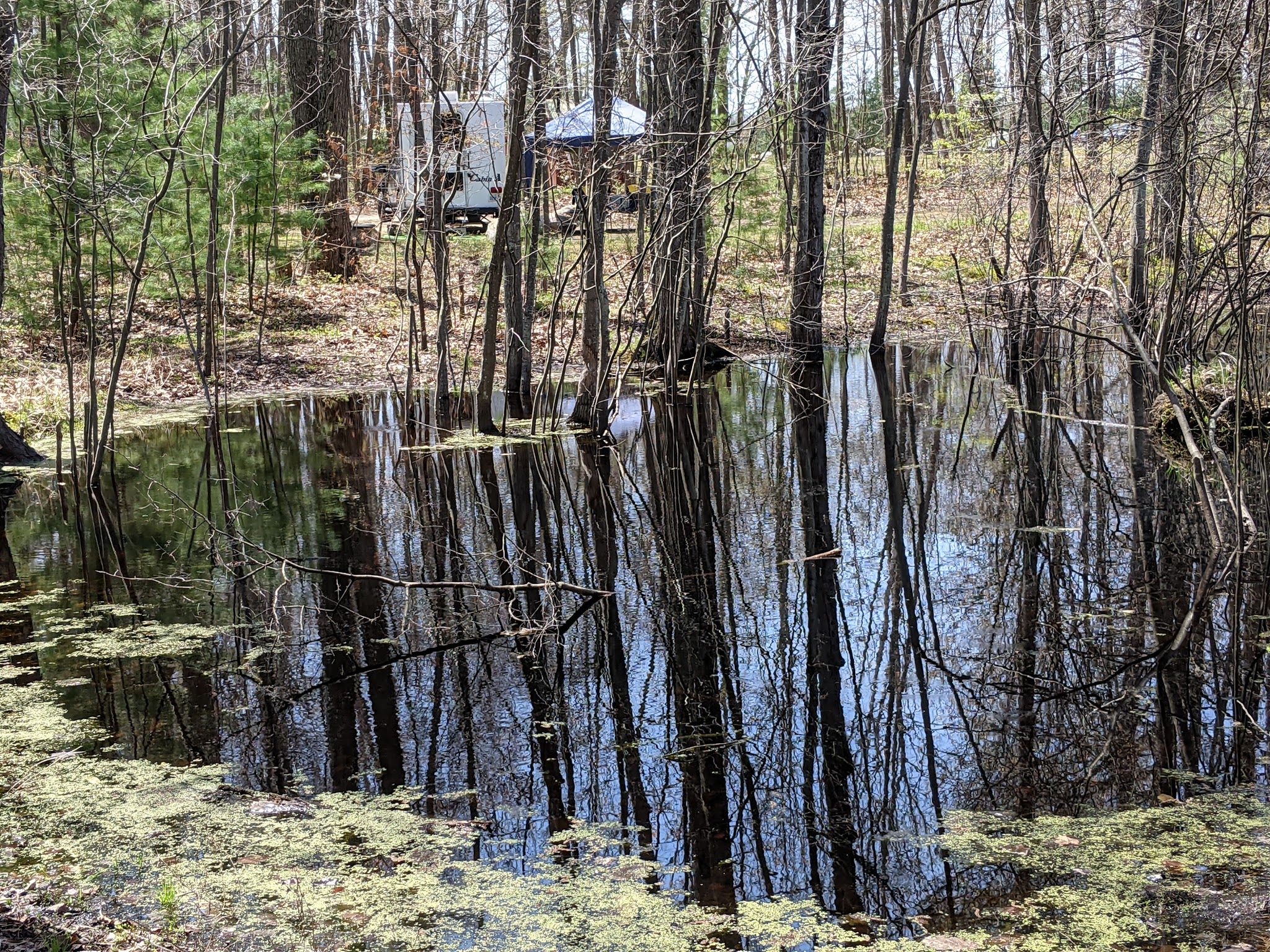 Mud Lake State Forest Campground