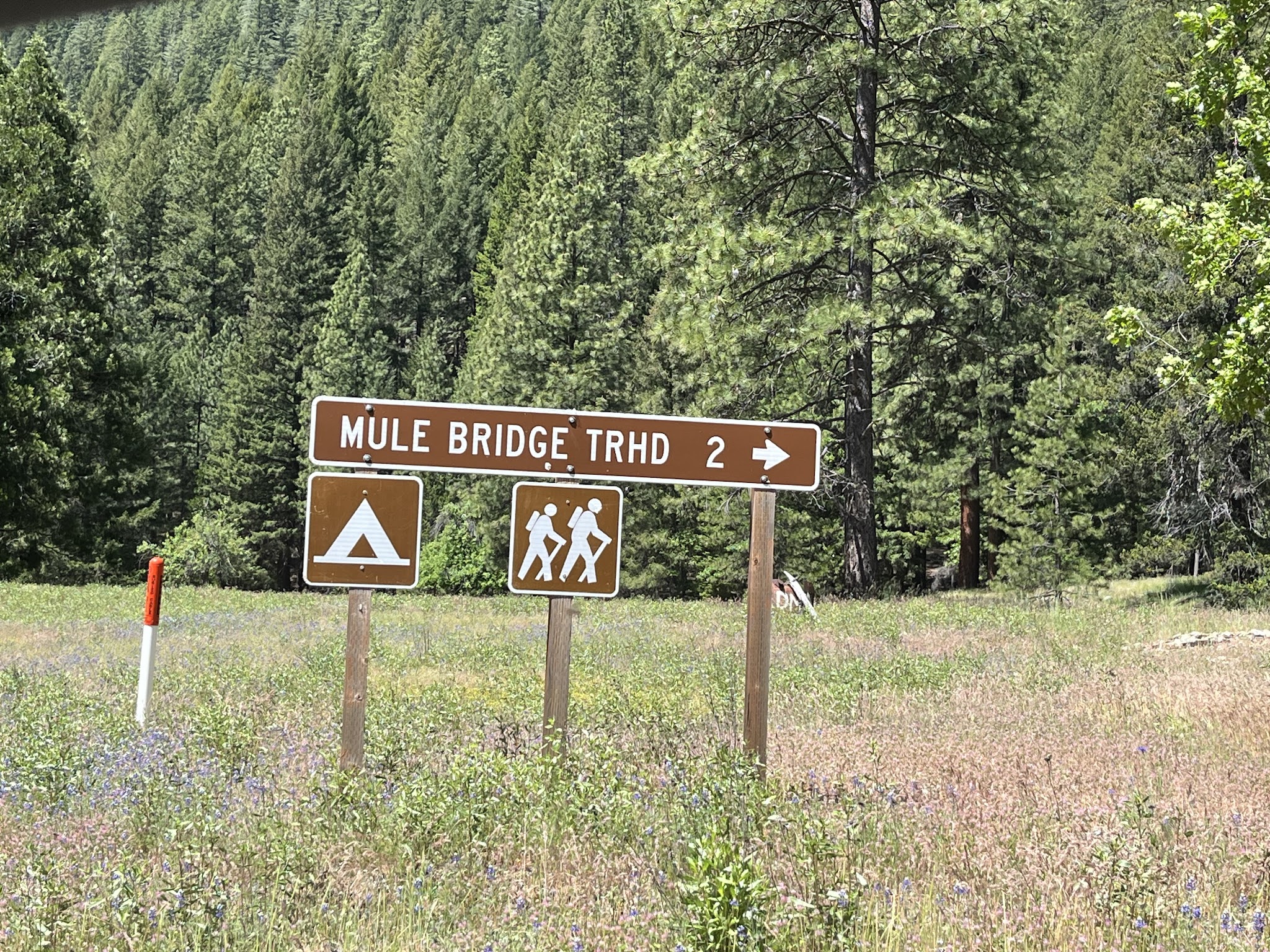 Mulebridge Campground