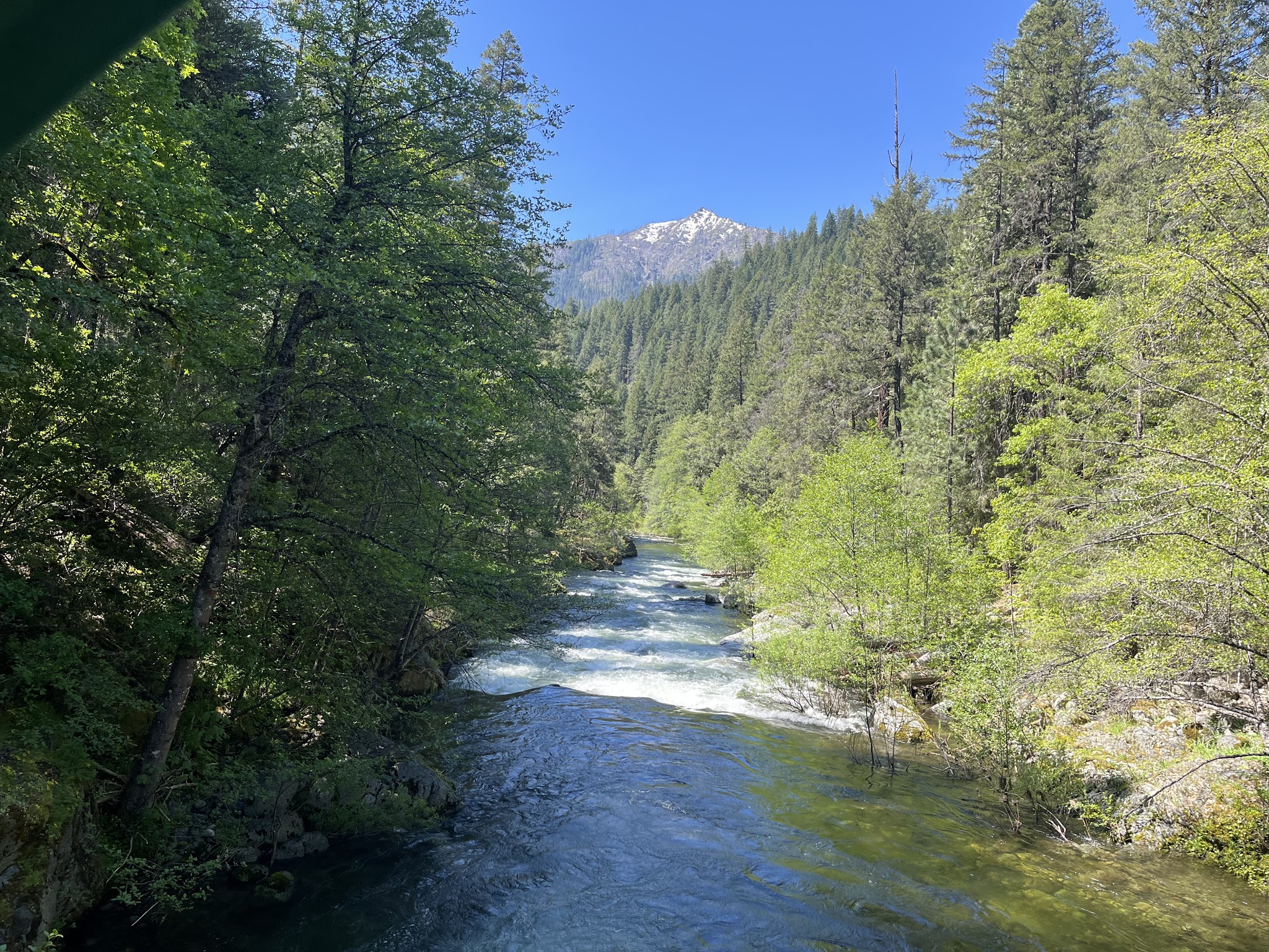 Mulebridge Campground