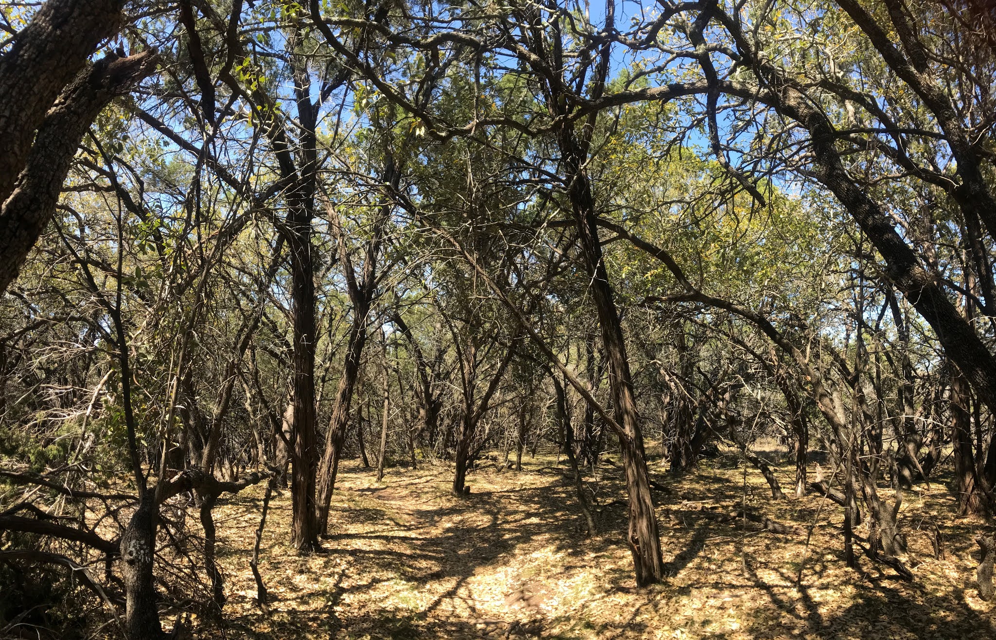 Muleshoe Bend Recreation Area