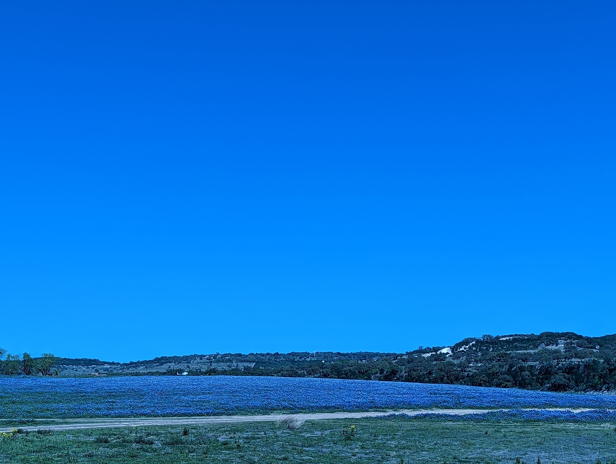 Muleshoe Bend Recreation Area