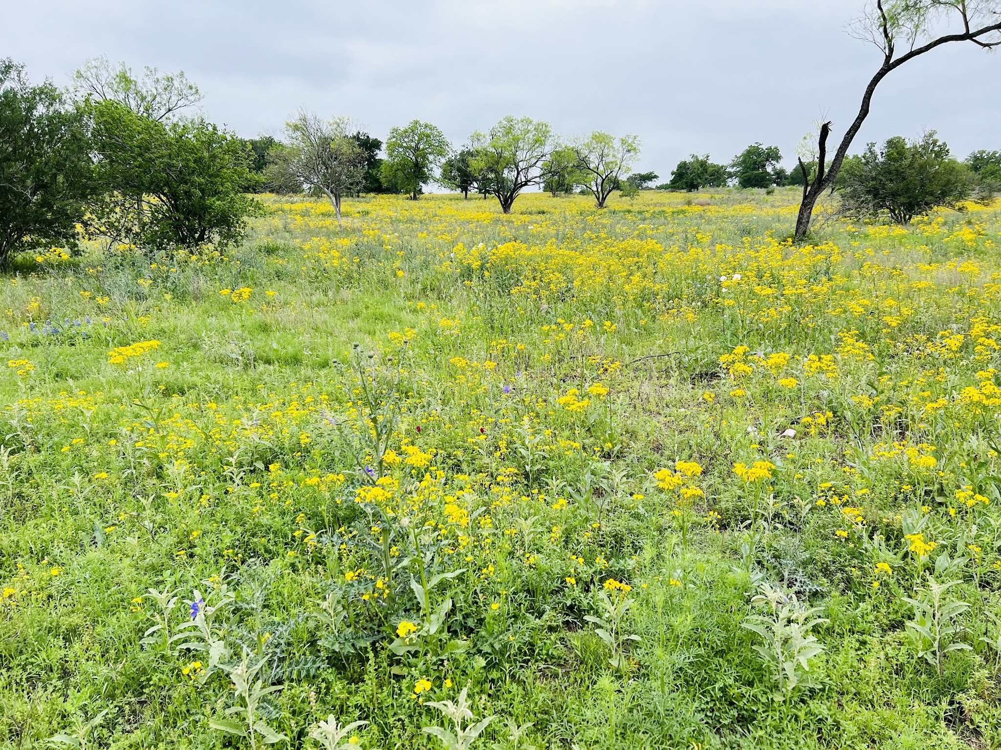 Muleshoe Bend Recreation Area