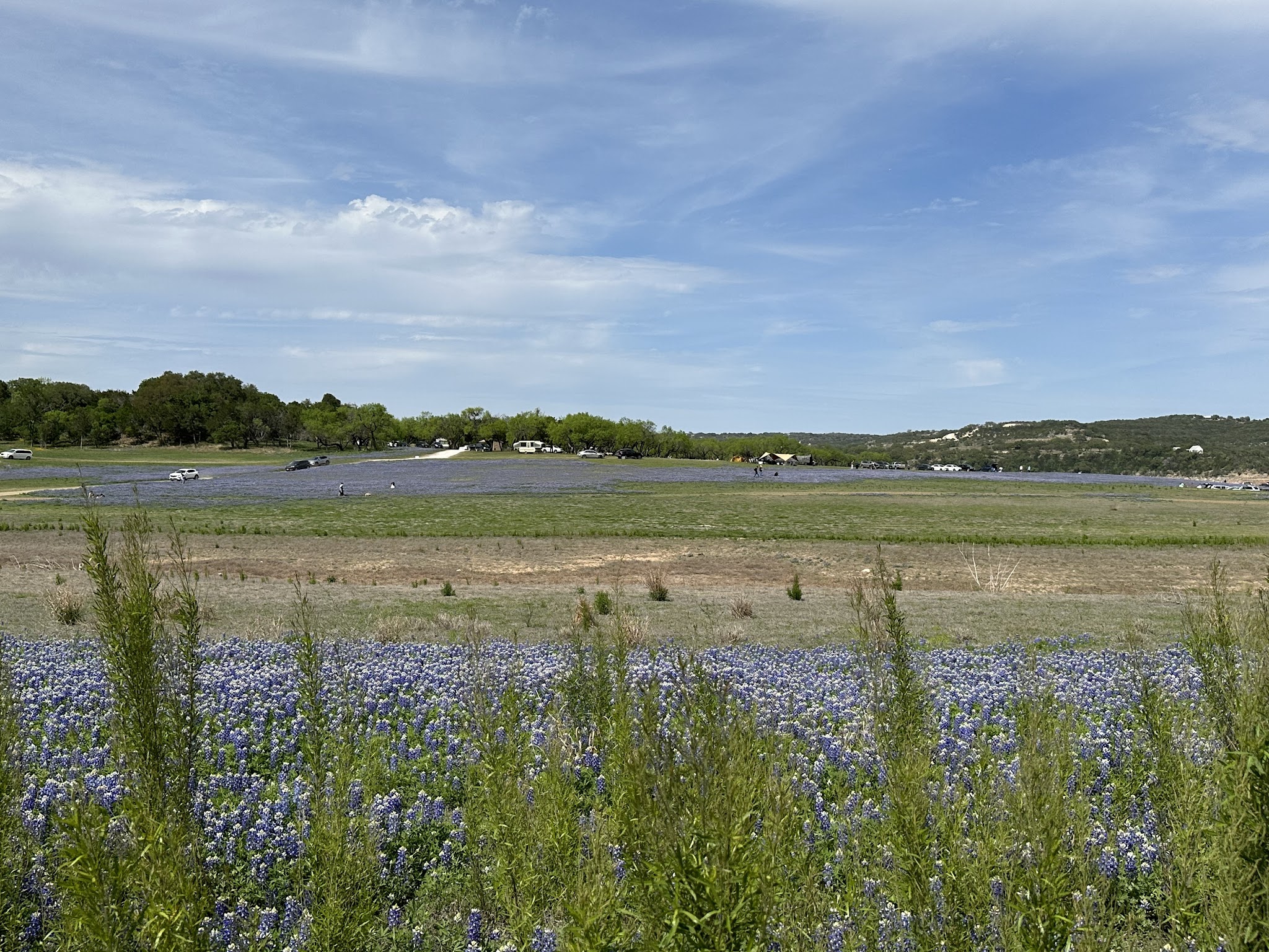 Muleshoe Bend Recreation Area