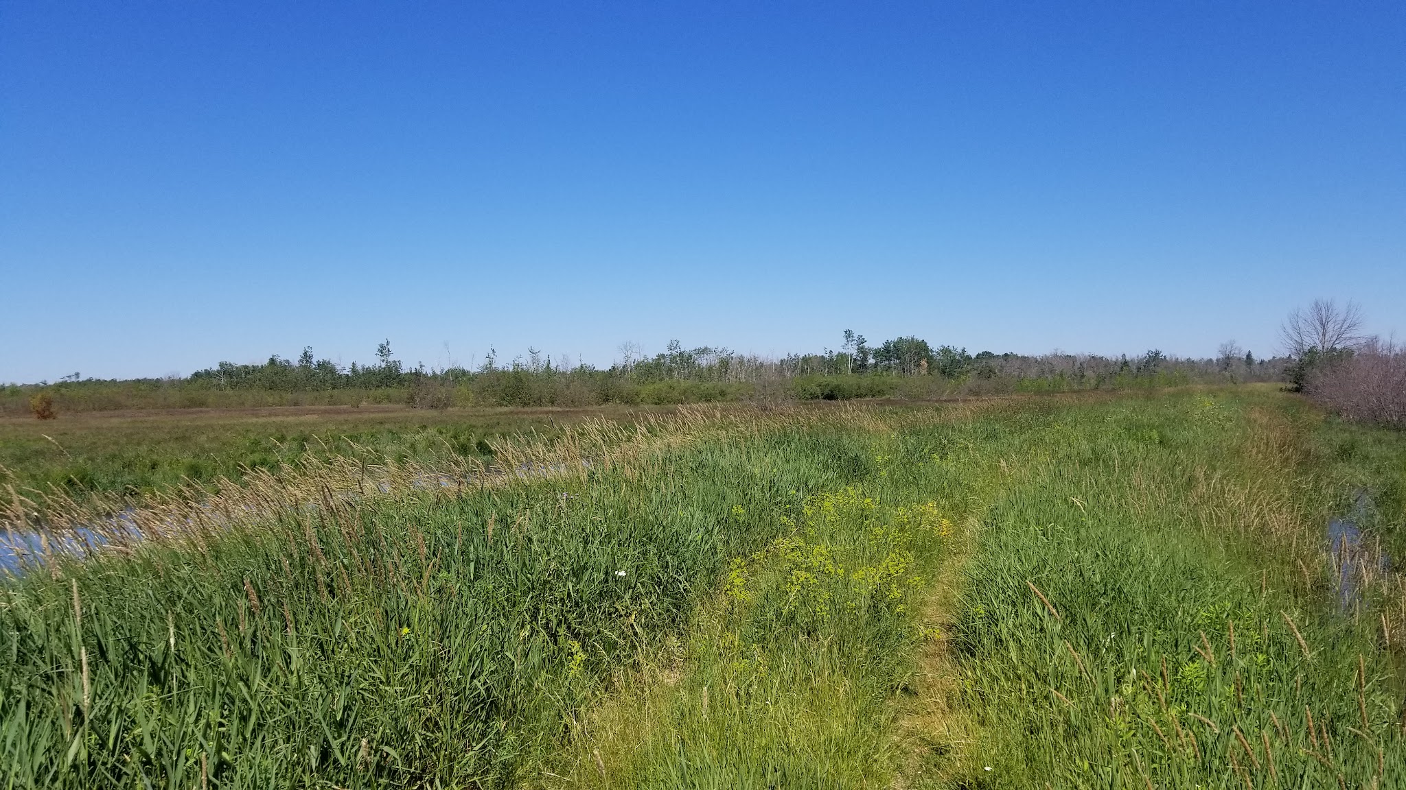 Munuscong River State Forest Campground