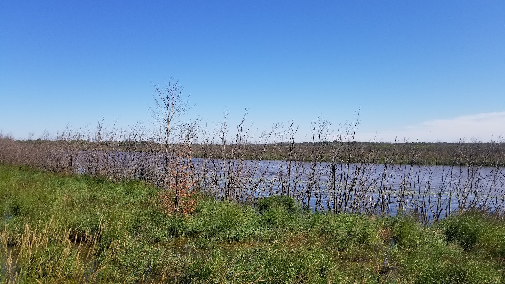Munuscong River State Forest Campground