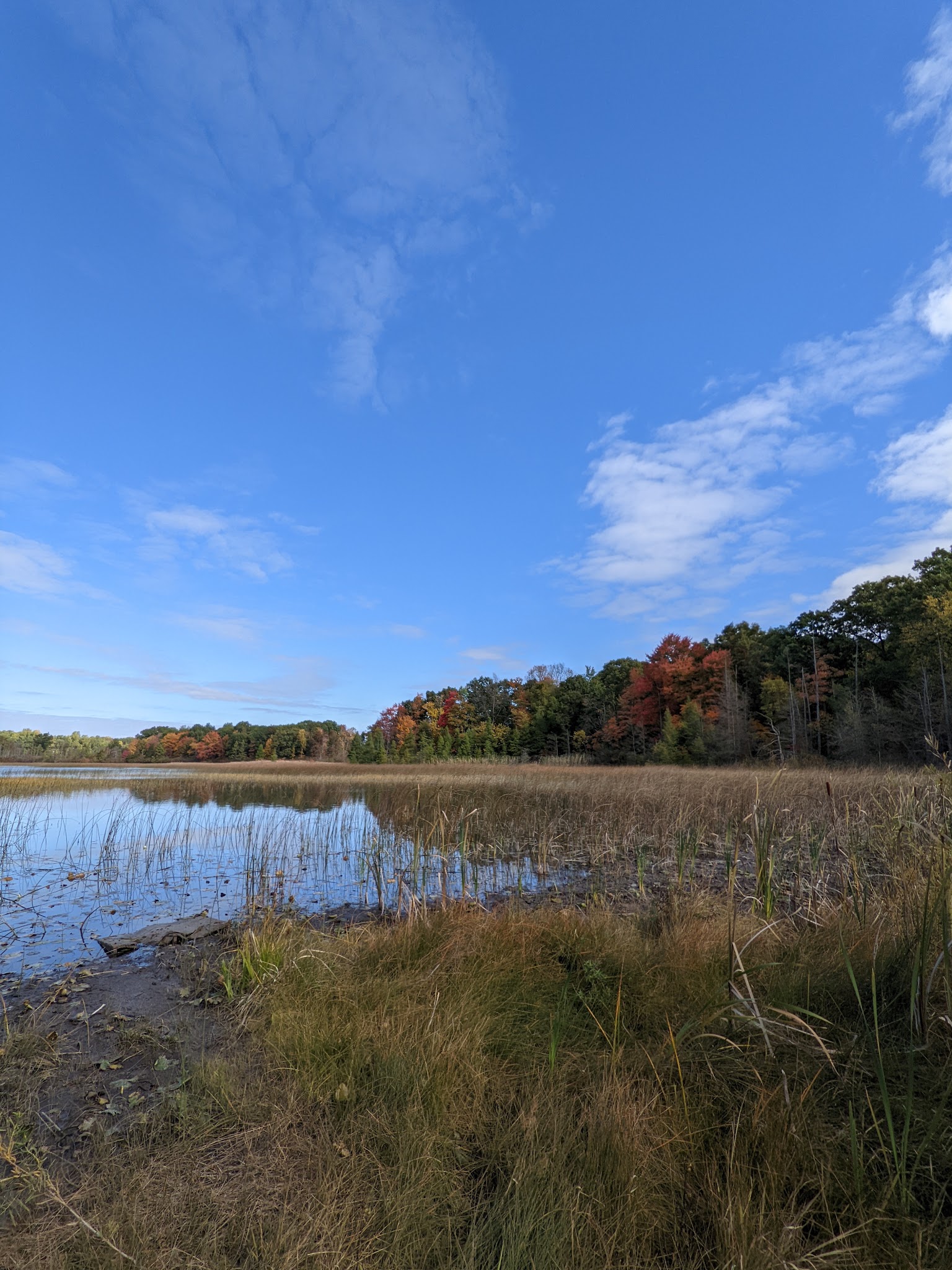 Brighton Murray Lake Campground