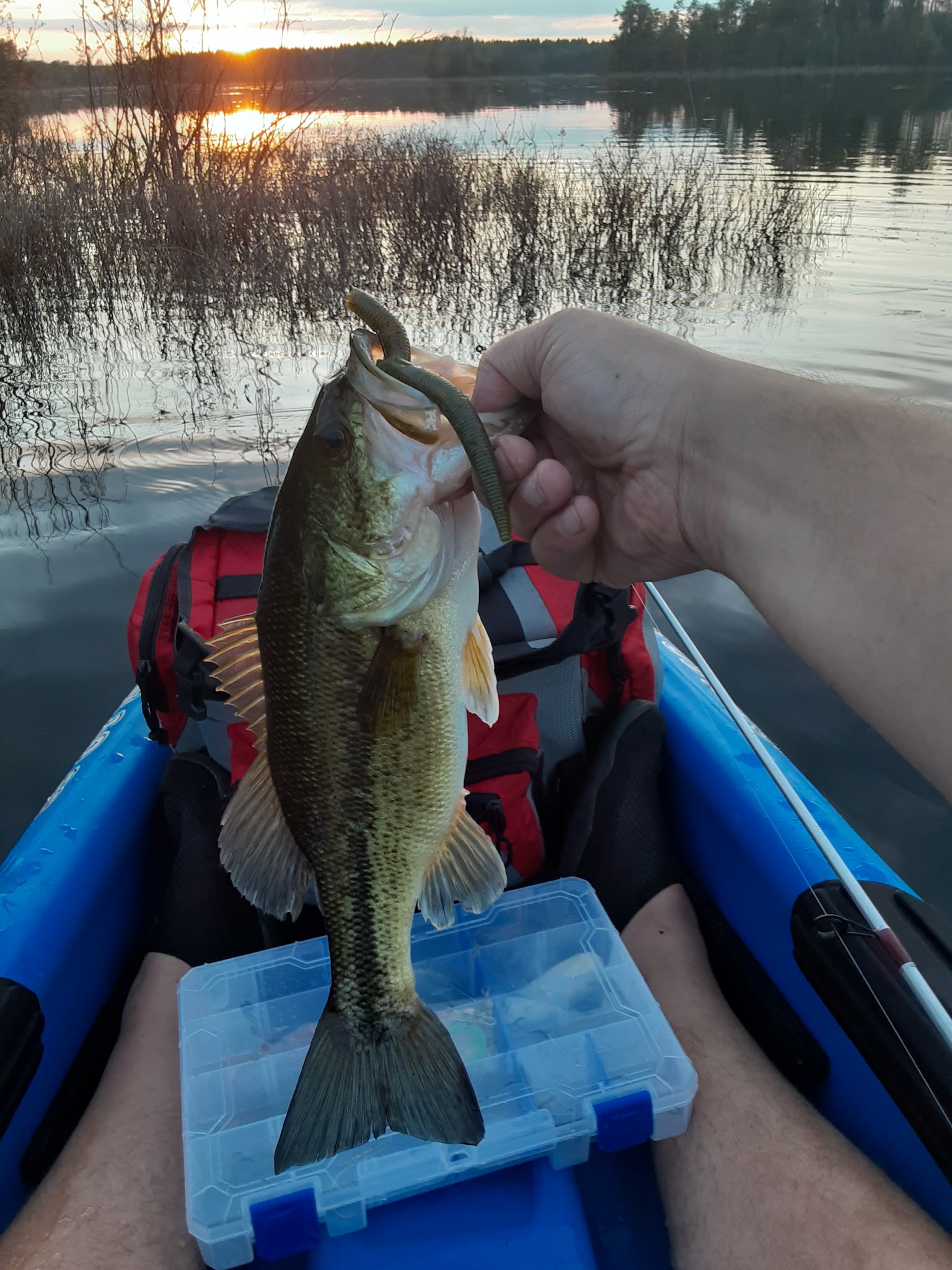 Muskrat Lake State Forest Campground