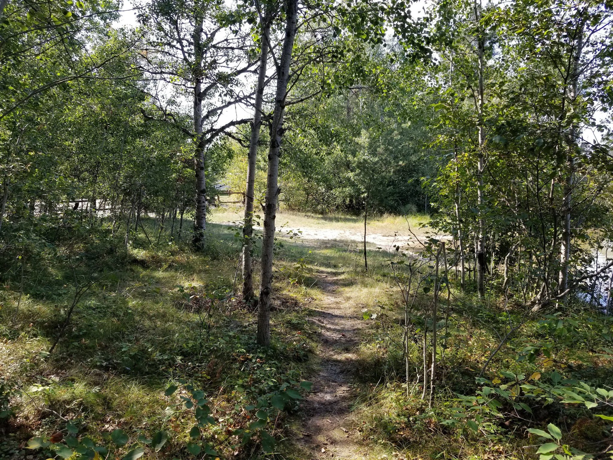 Muskrat Lake State Forest Campground