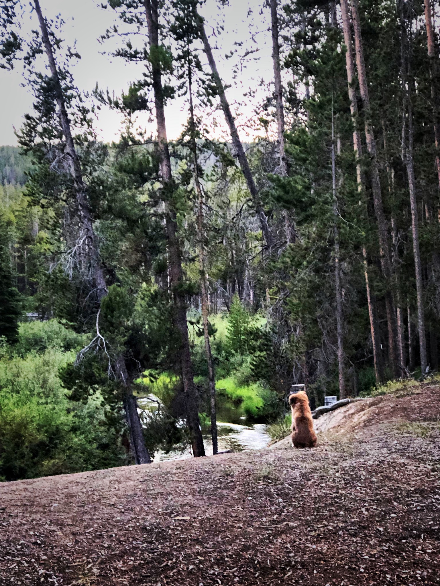 Mussigbrod Campground