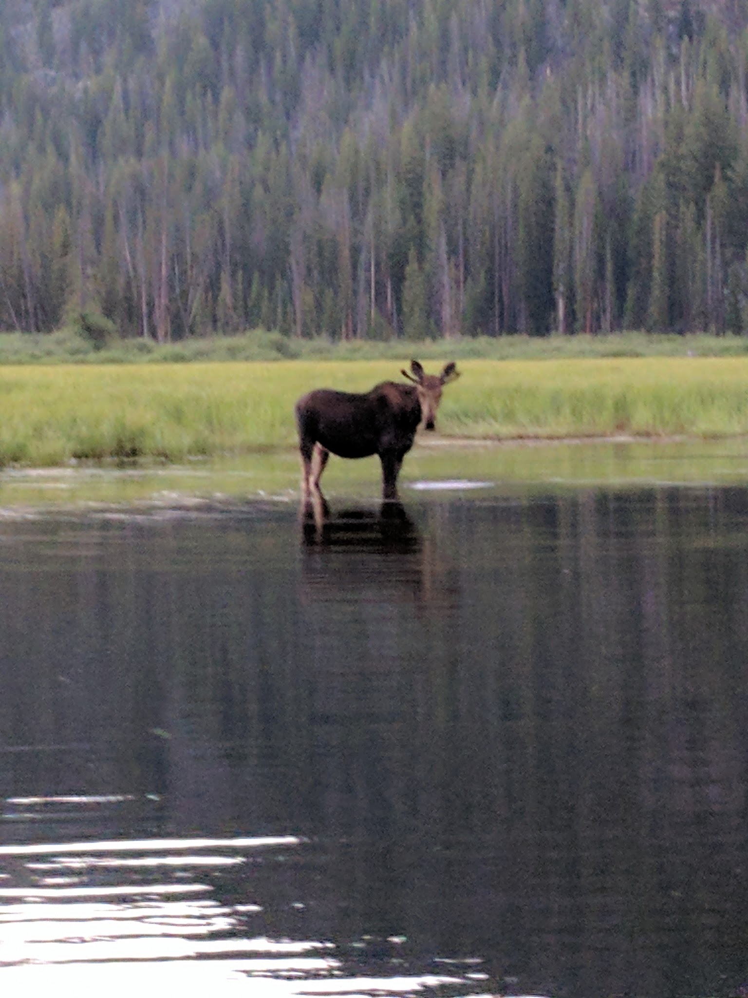 Mussigbrod Campground