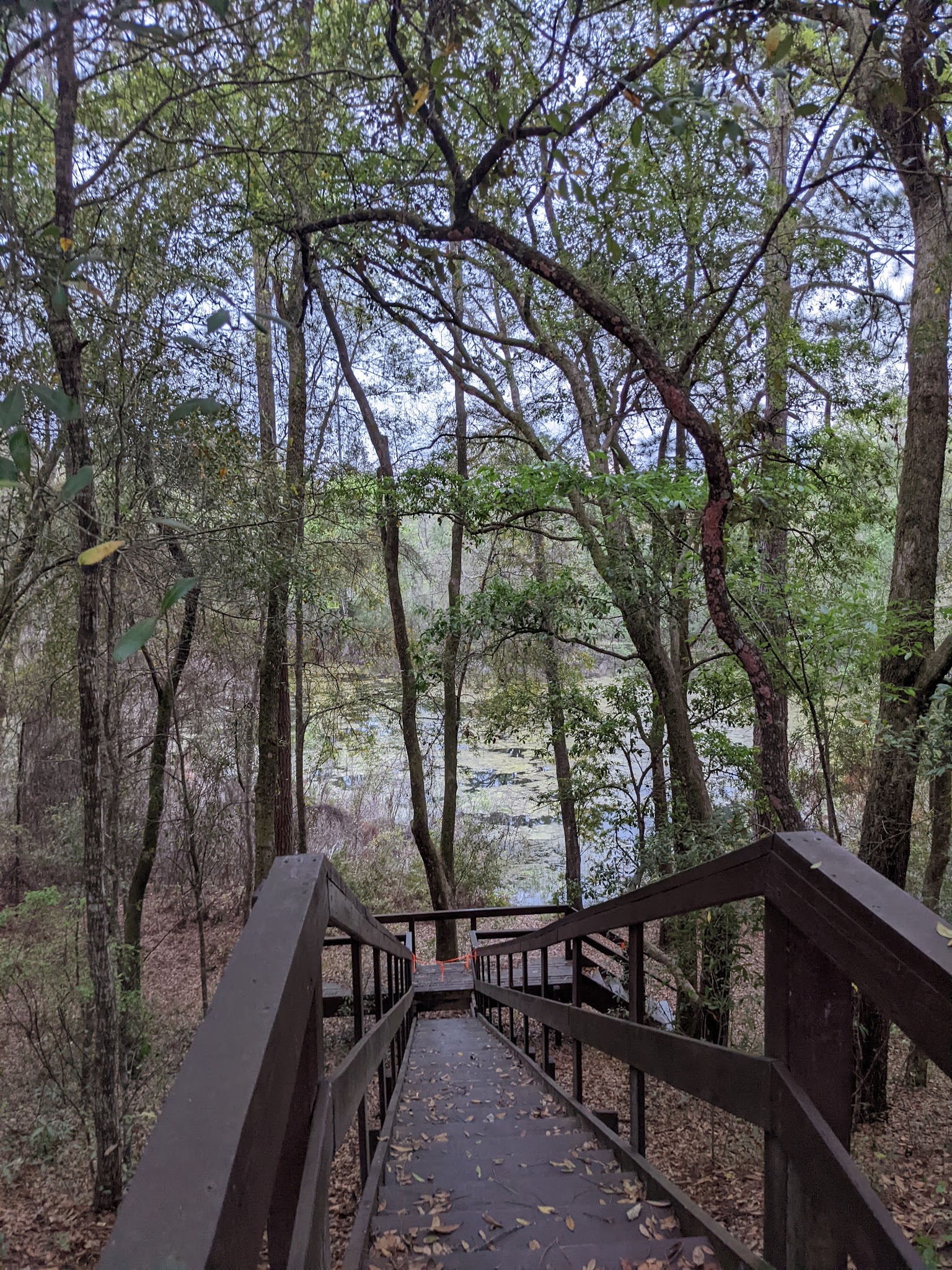 Mutual Mine Youth Group Camp Withlacoochee State Forest