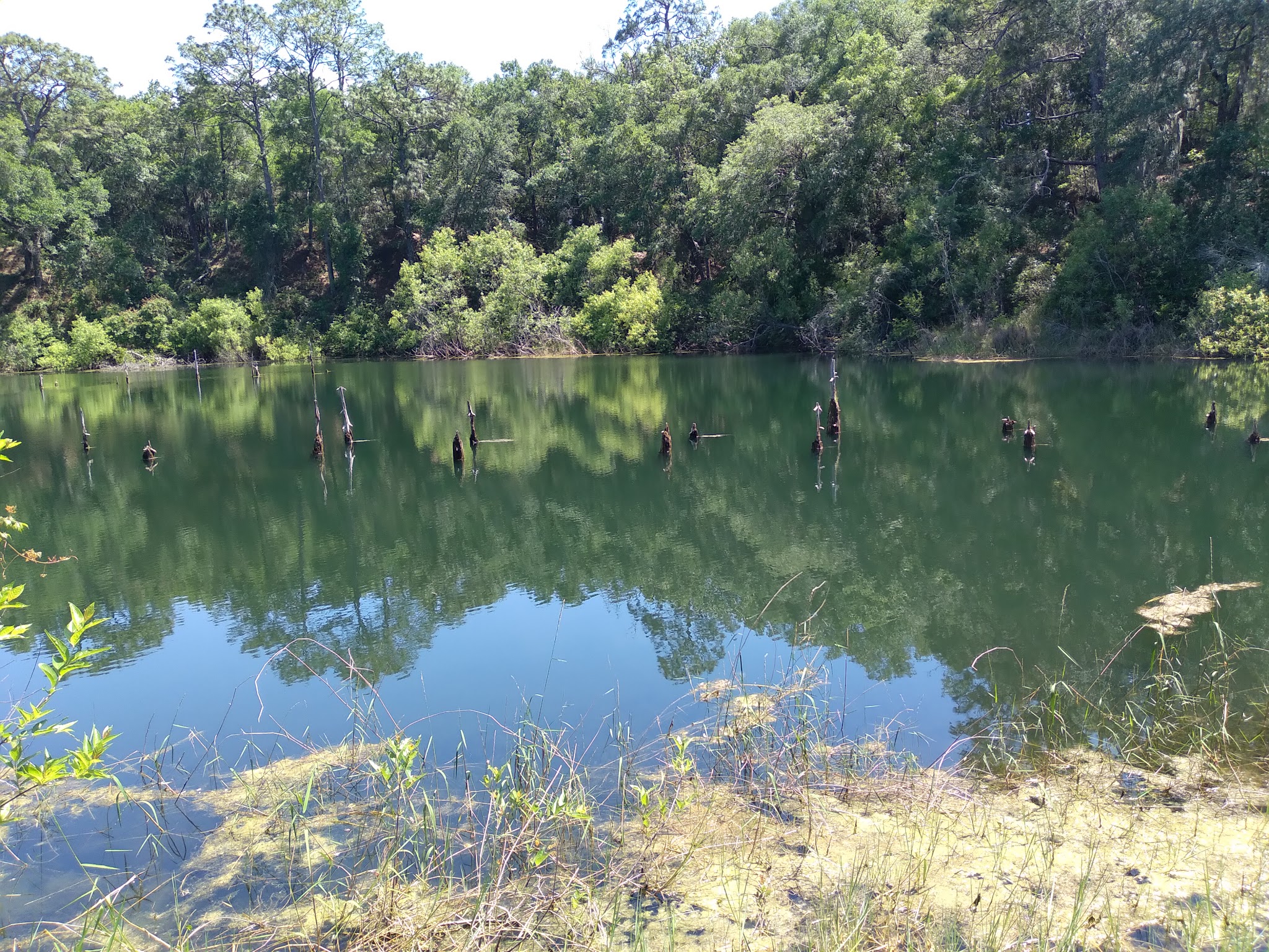 Mutual Mine Youth Group Camp Withlacoochee State Forest