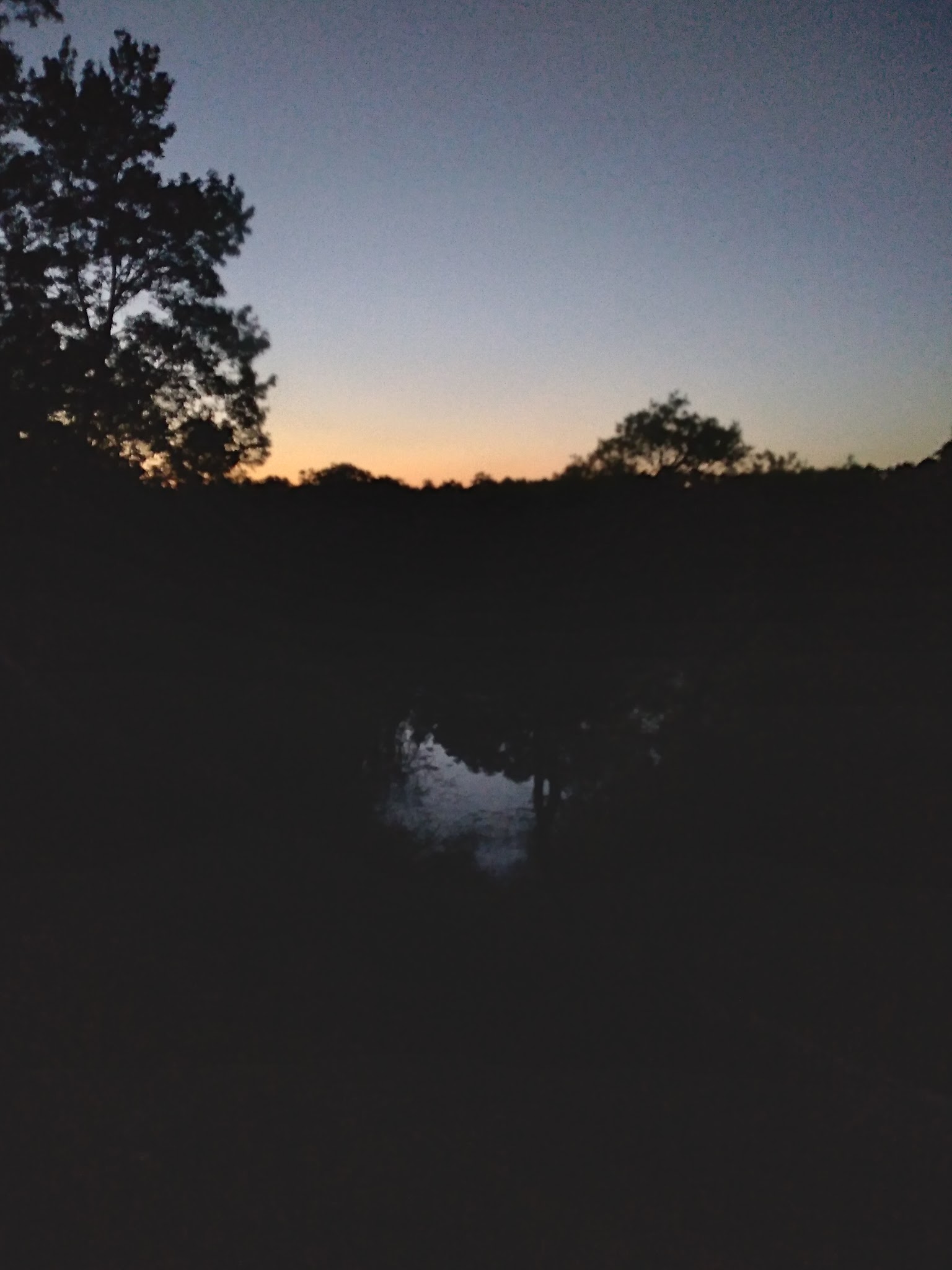 Mutual Mine Youth Group Camp Withlacoochee State Forest