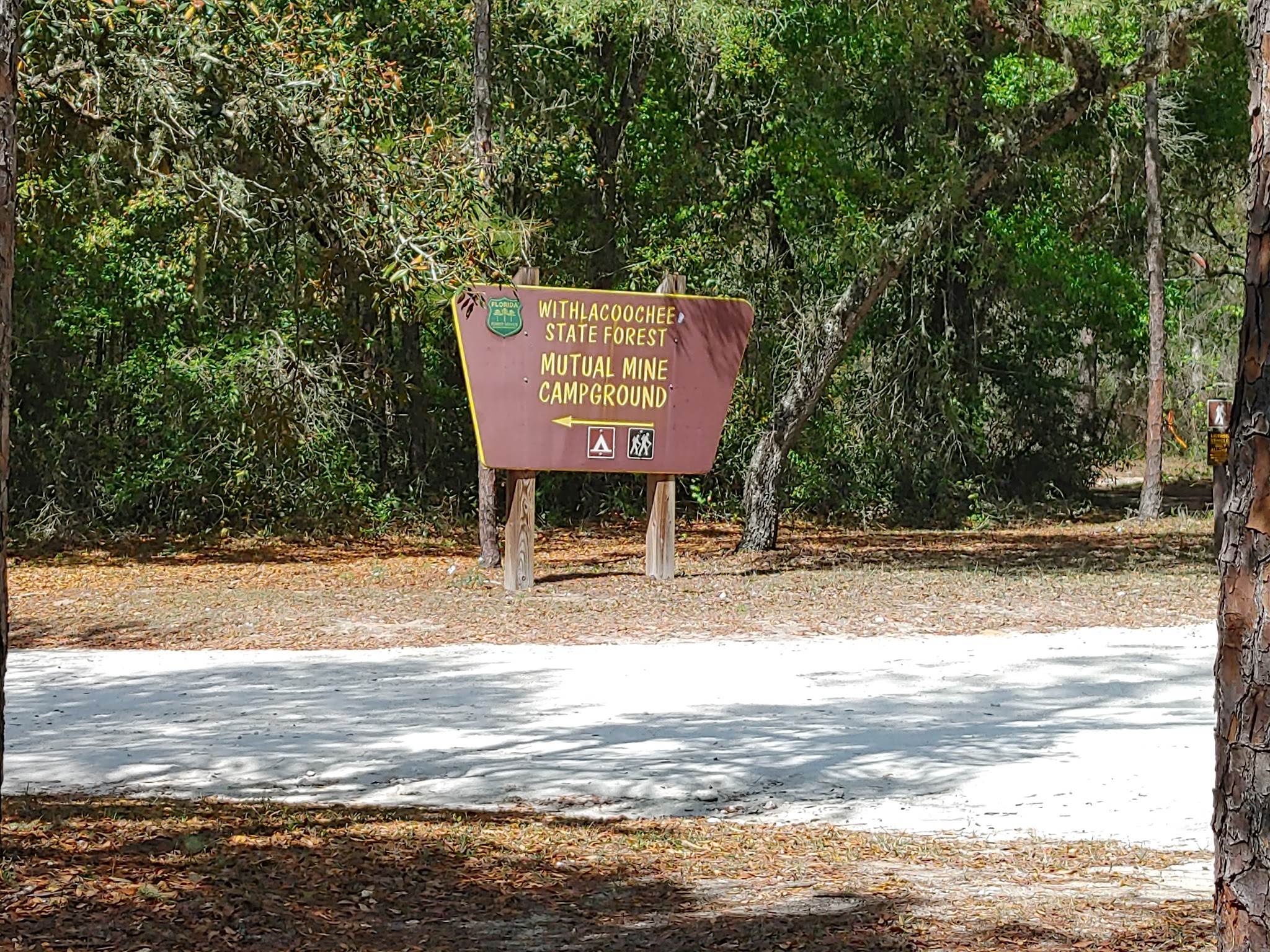 Mutual Mine Youth Group Camp Withlacoochee State Forest
