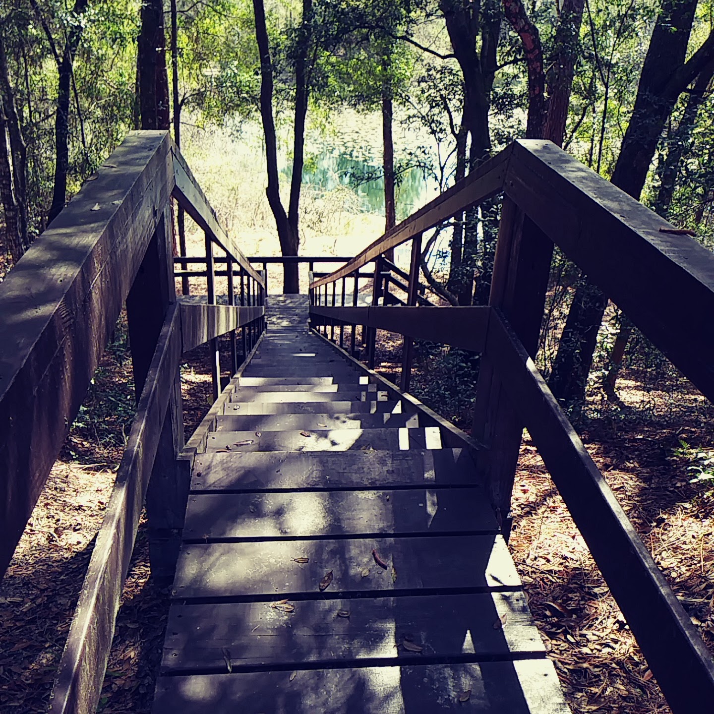 Mutual Mine Youth Group Camp Withlacoochee State Forest