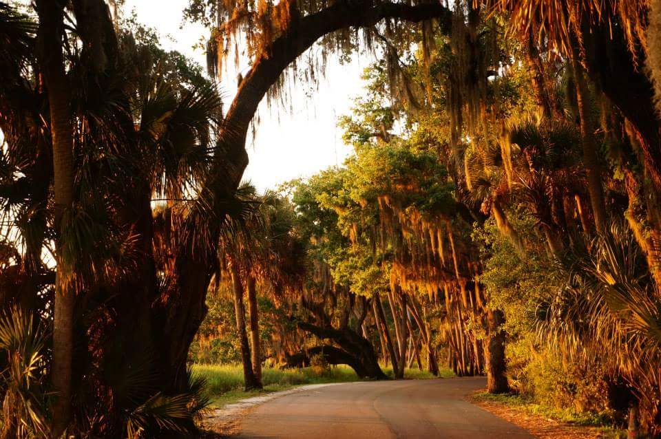 Myakka River State Park Campground