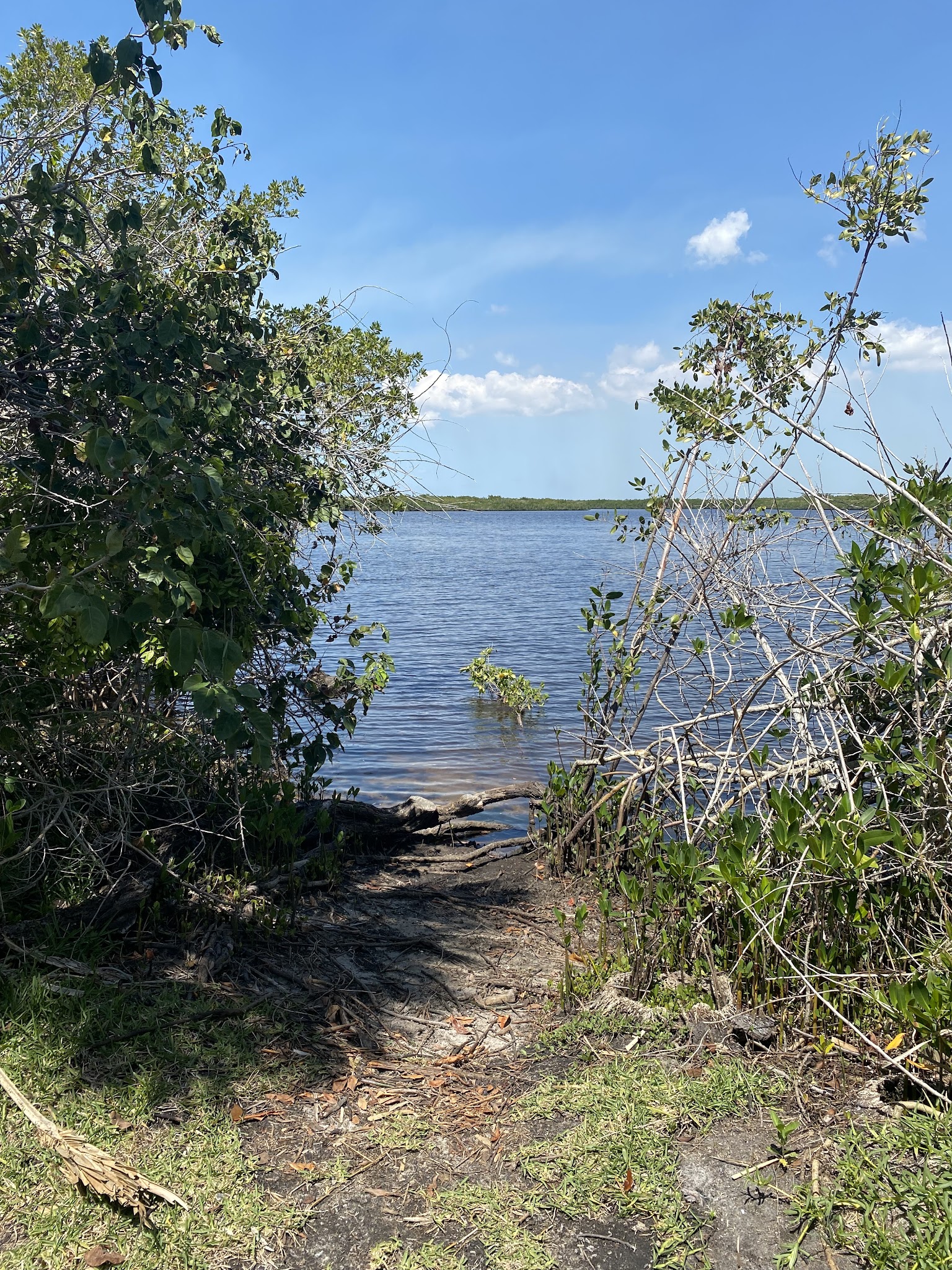 Myakka State Forest Primitive Campsites