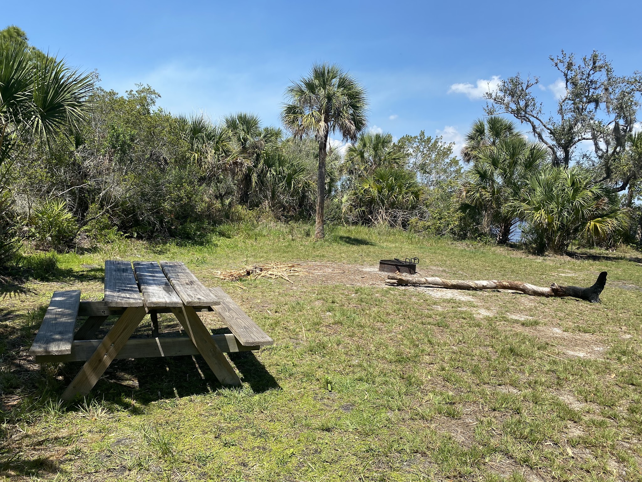 Myakka State Forest Primitive Campsites