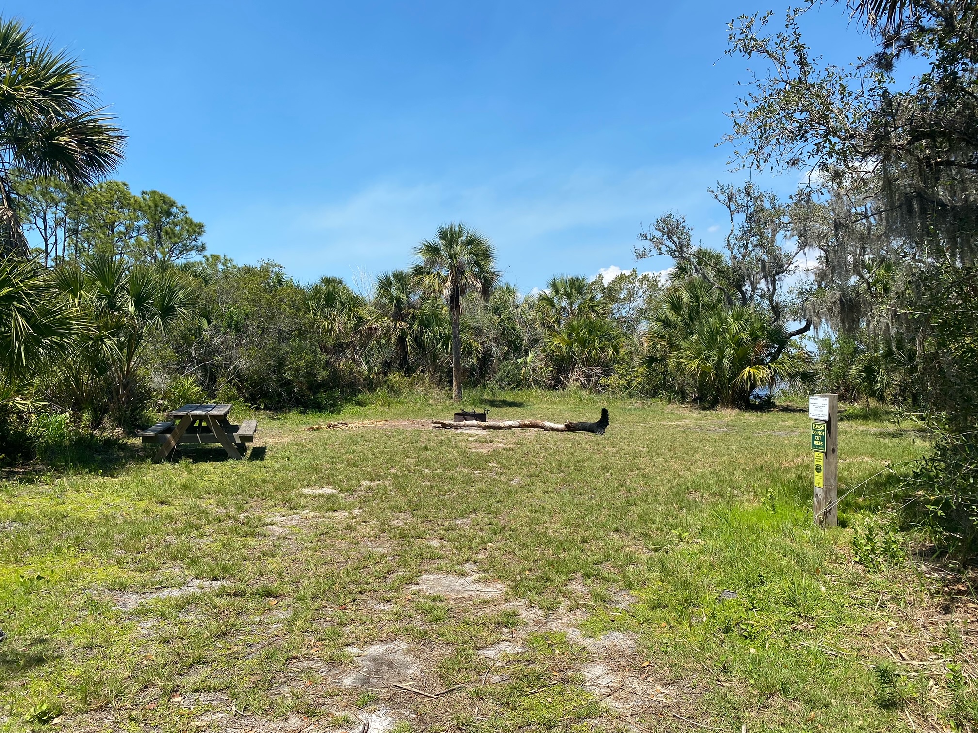 Myakka State Forest Primitive Campsites