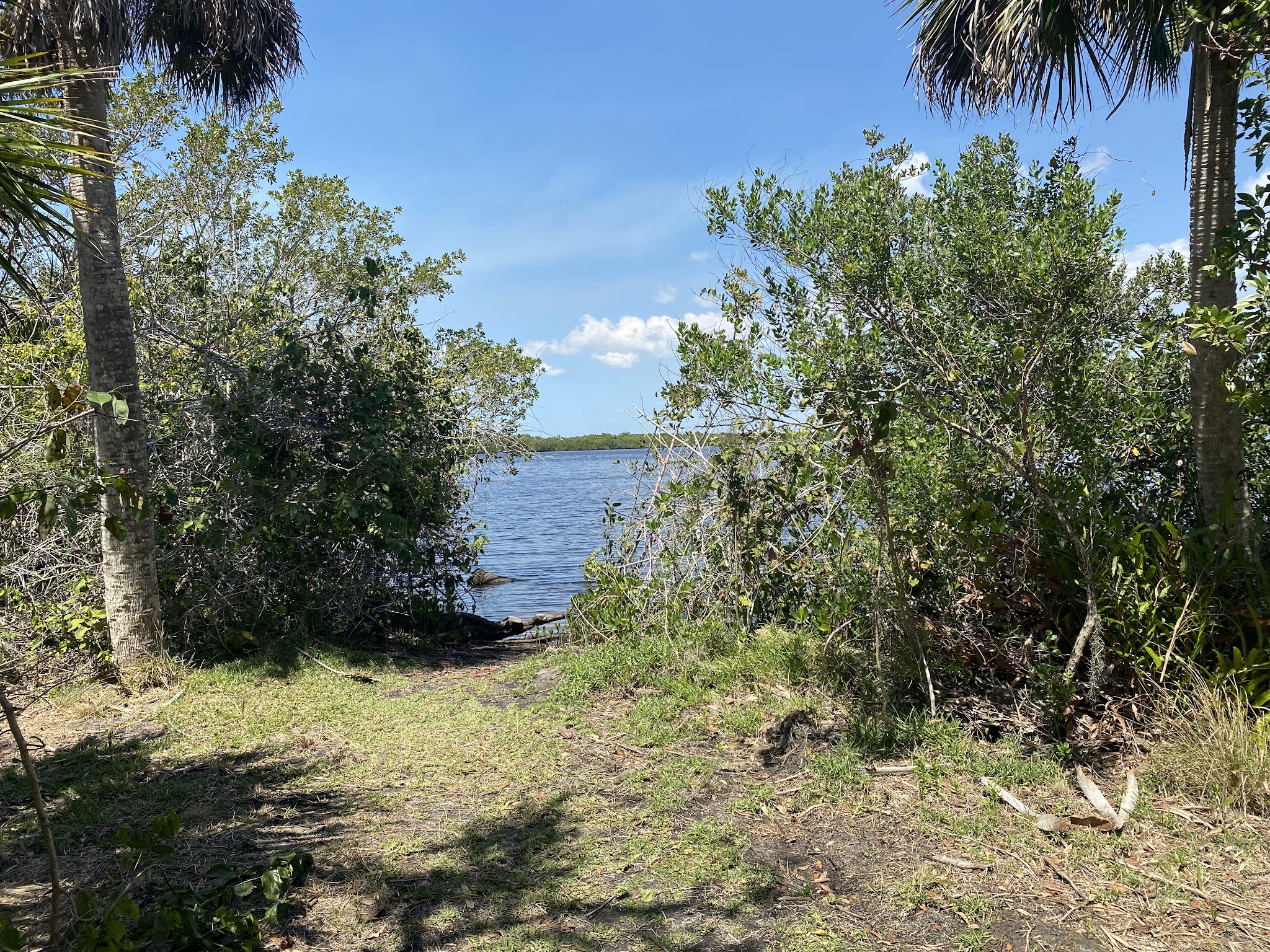 Myakka State Forest Primitive Campsites
