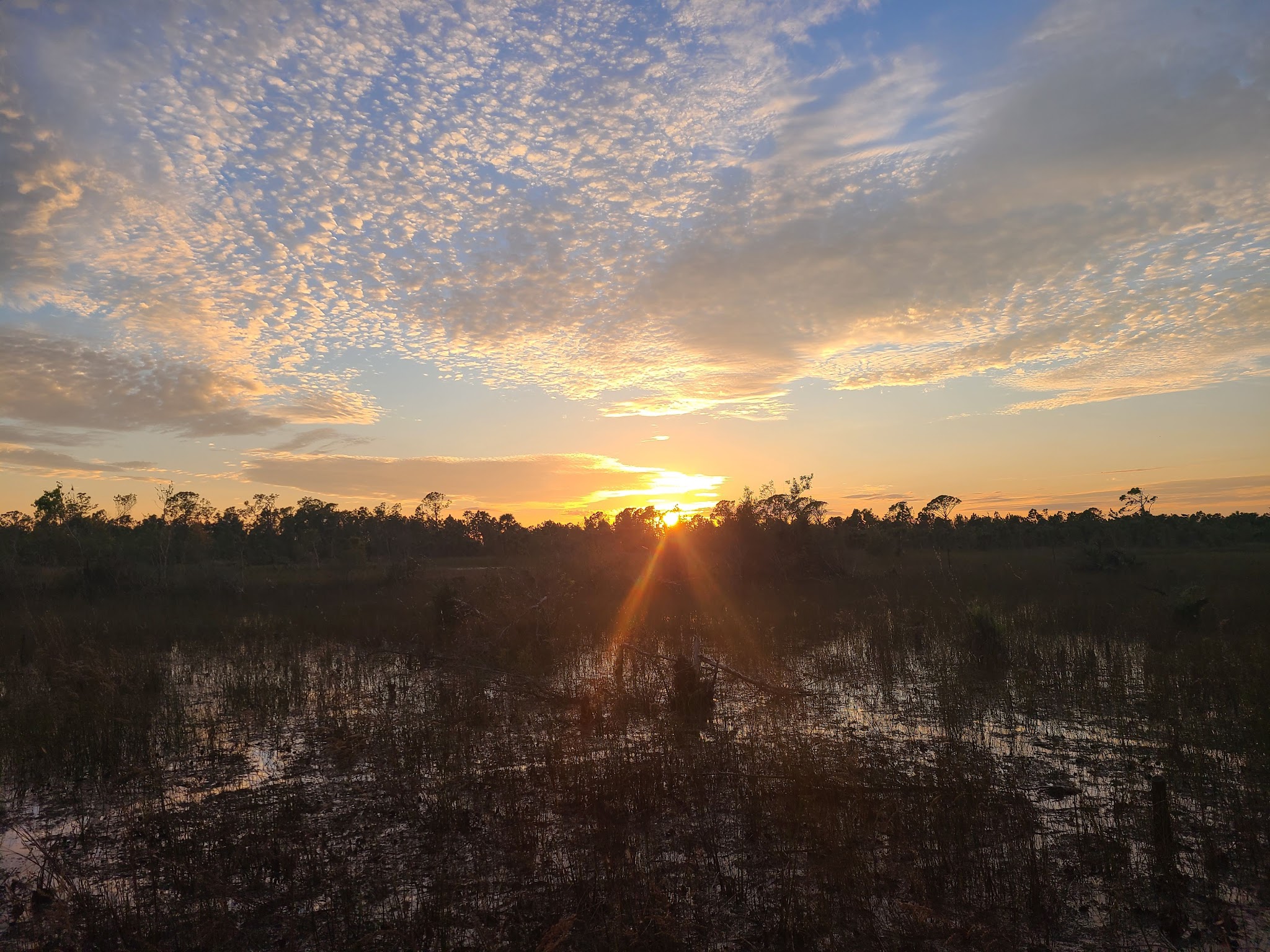 Myakka State Forest Flying A Group Camp