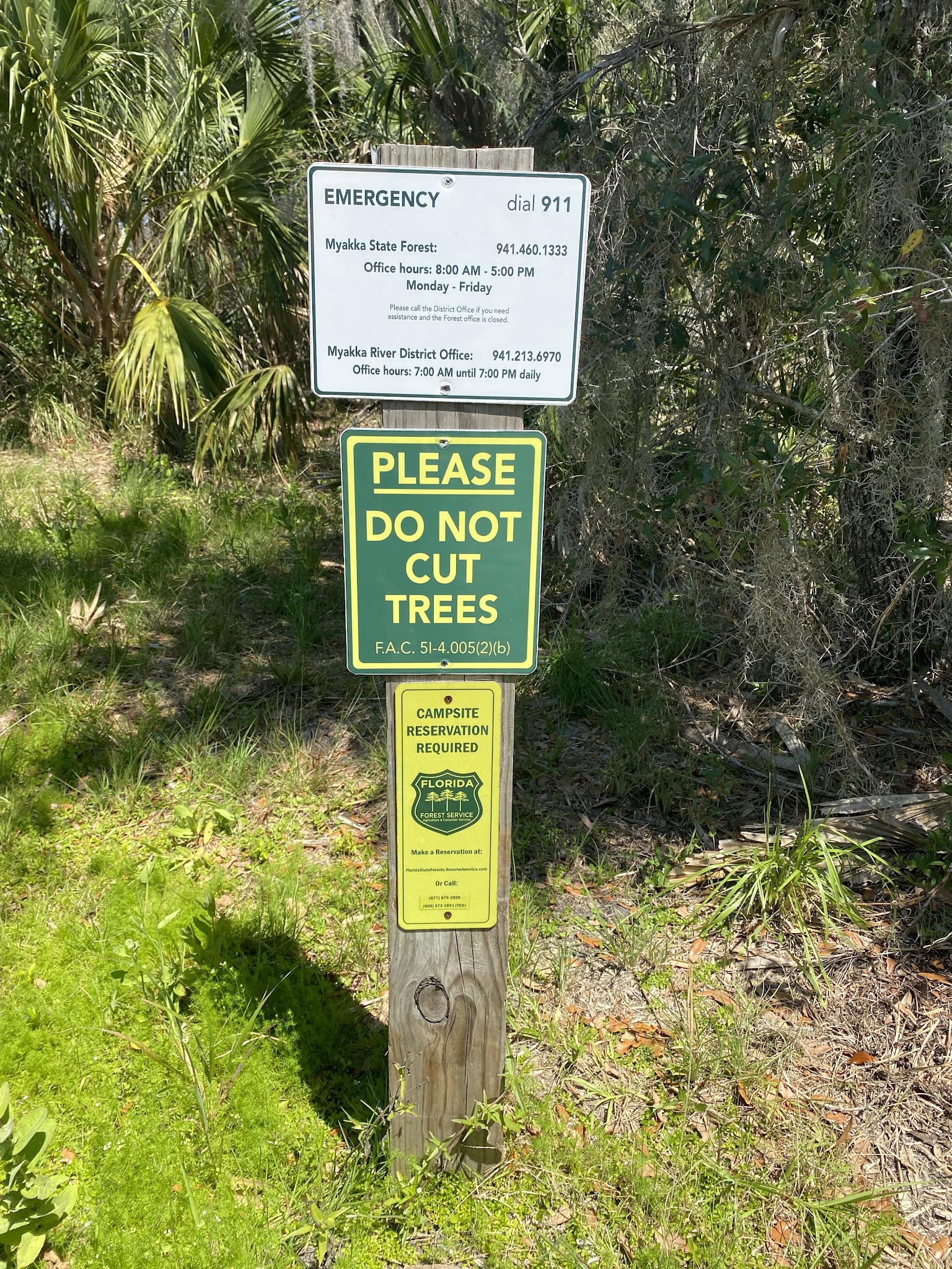 Myakka State Forest Primitive Campsites