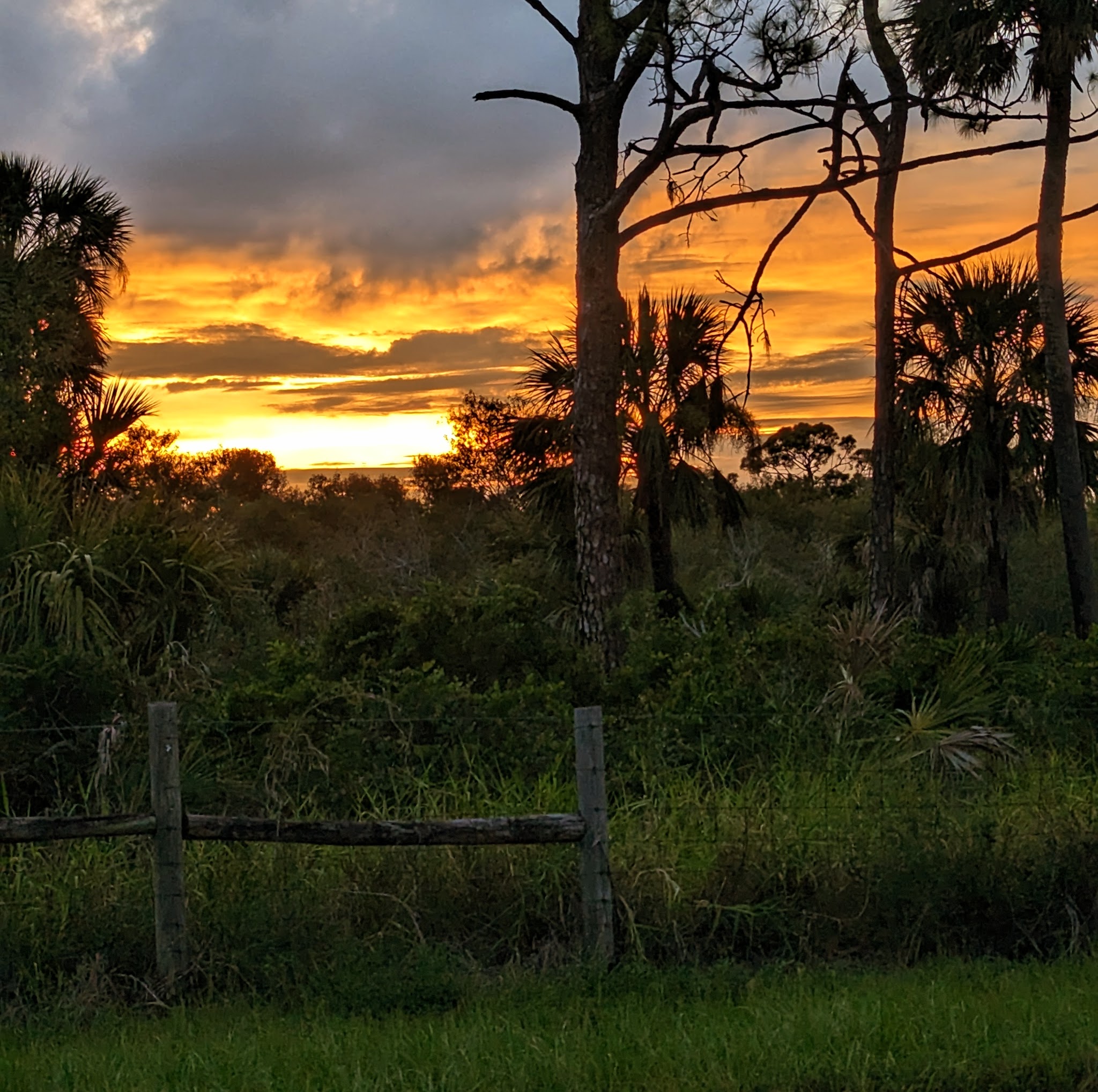 Myakka State Forest Flying A Group Camp