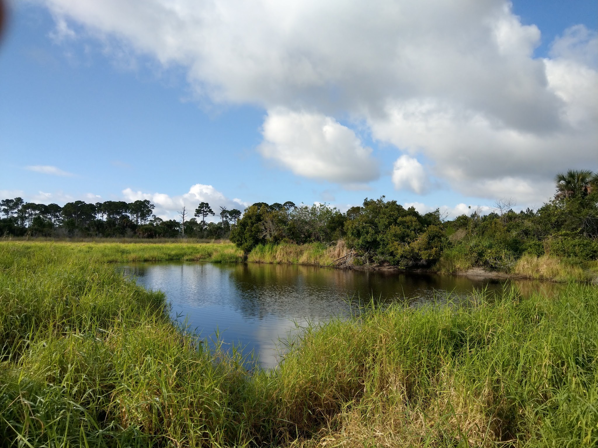 Myakka State Forest Flying A Group Camp