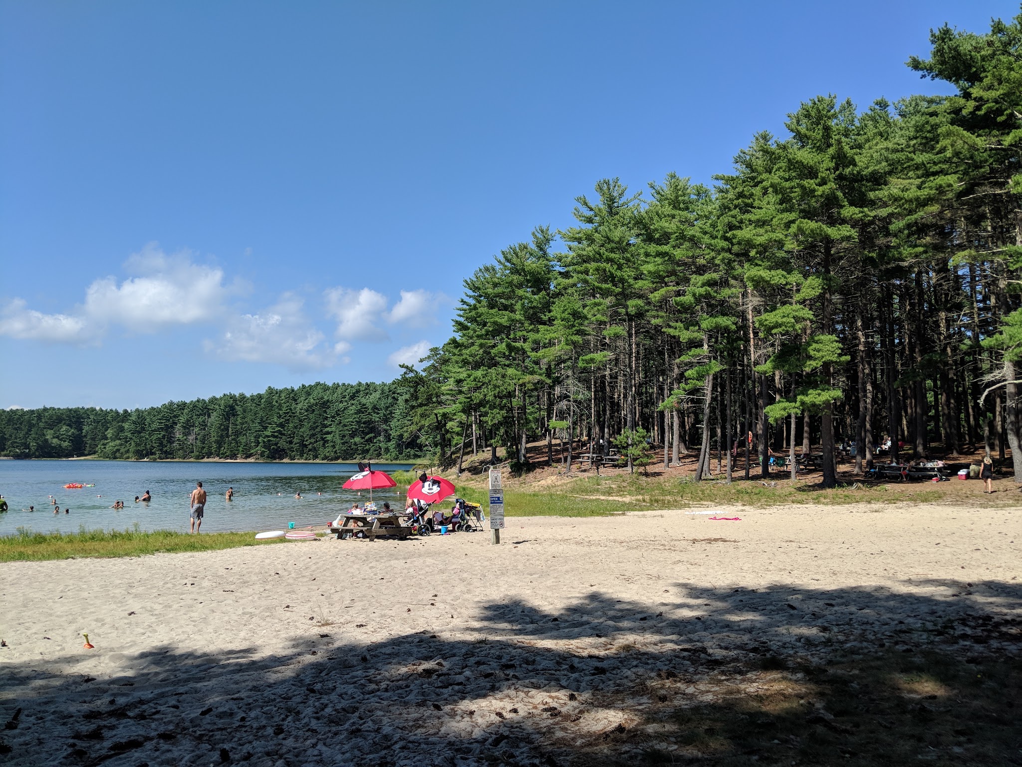 Myles Standish State Forest