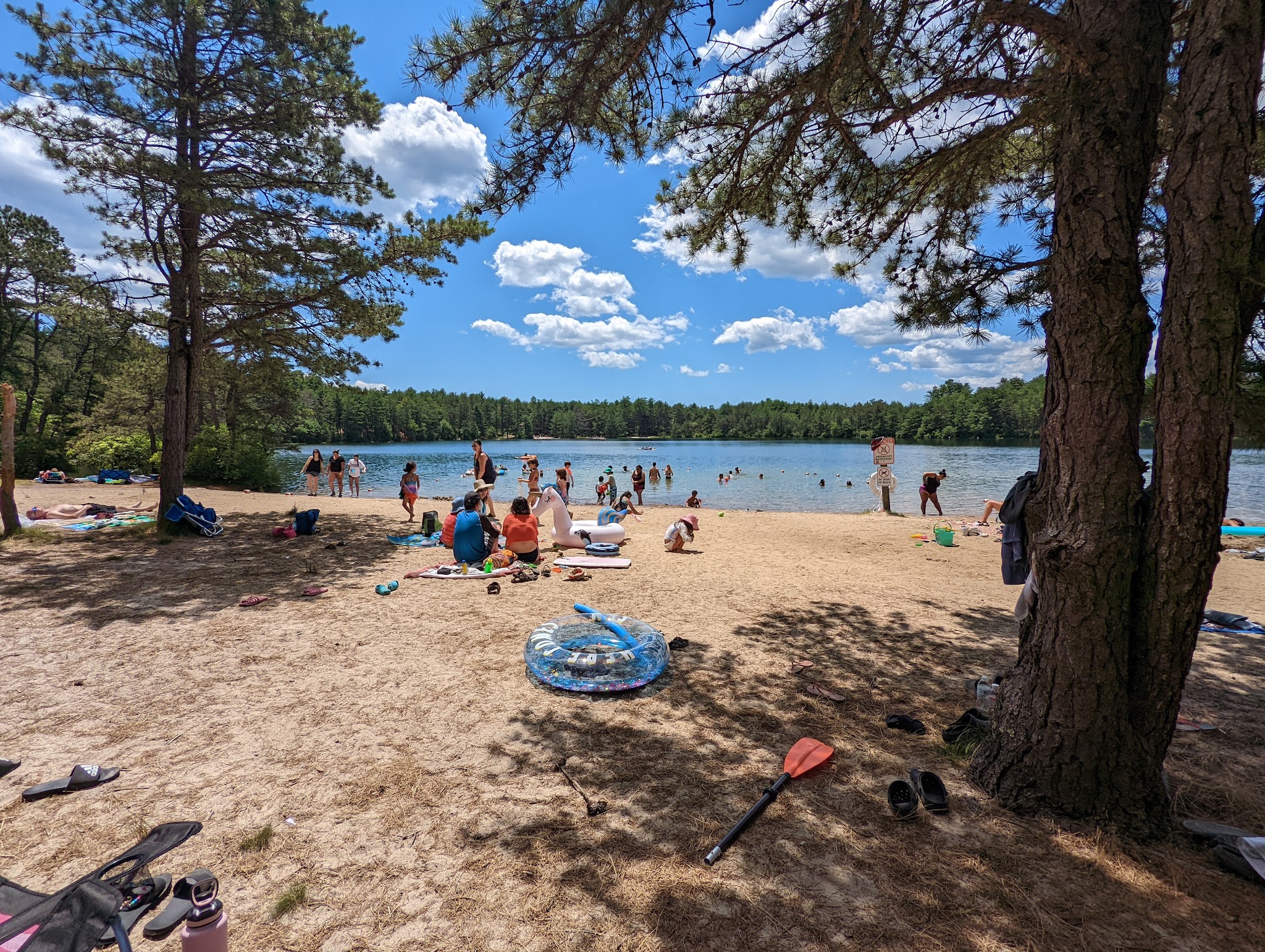 Myles Standish State Forest
