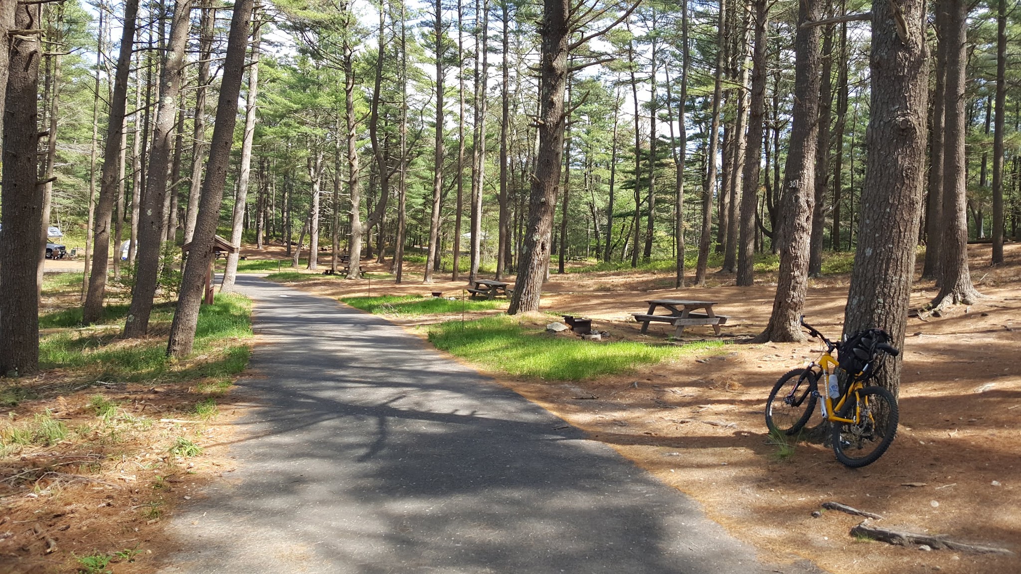 Myles Standish State Forest