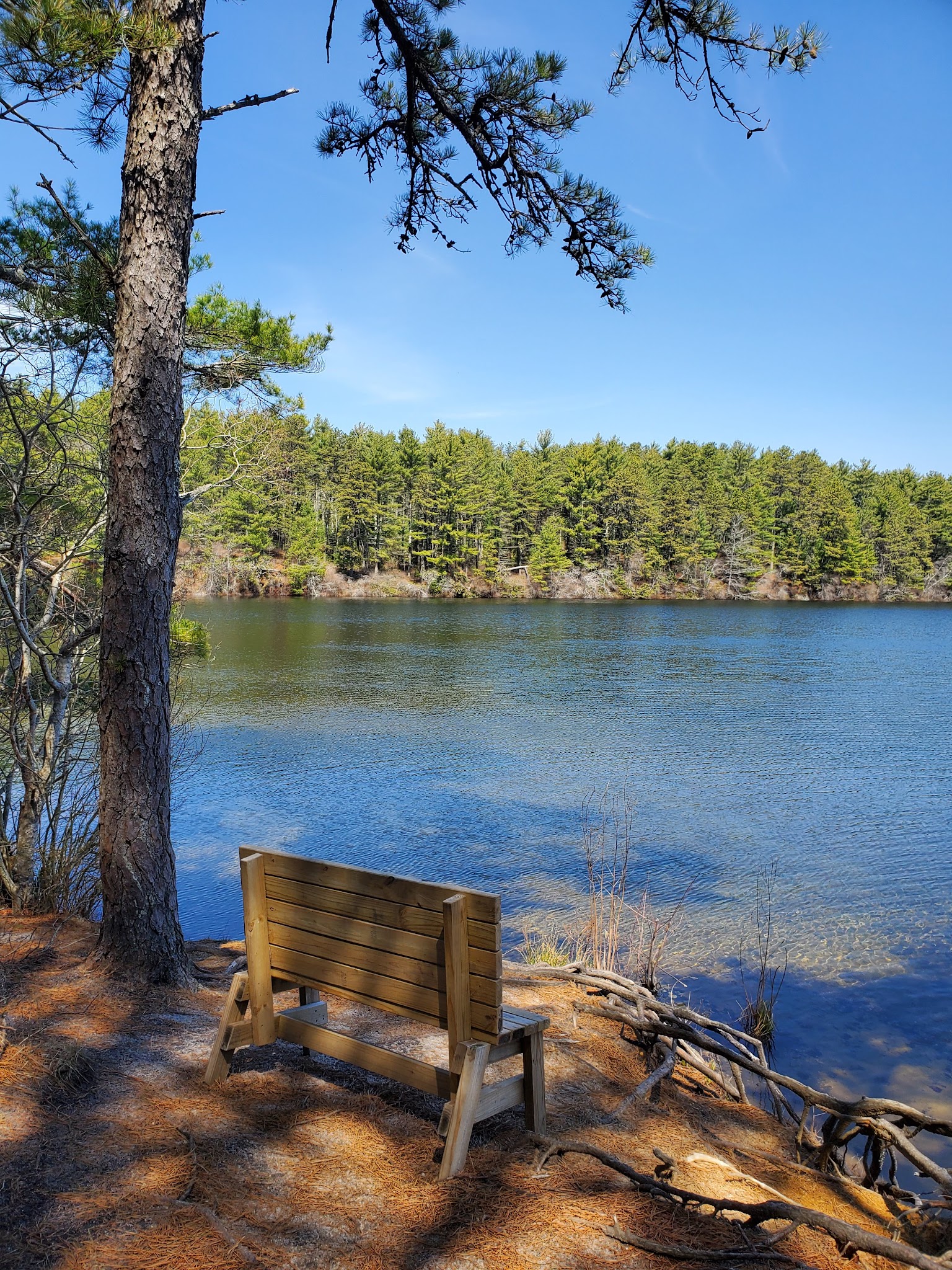 Myles Standish State Forest