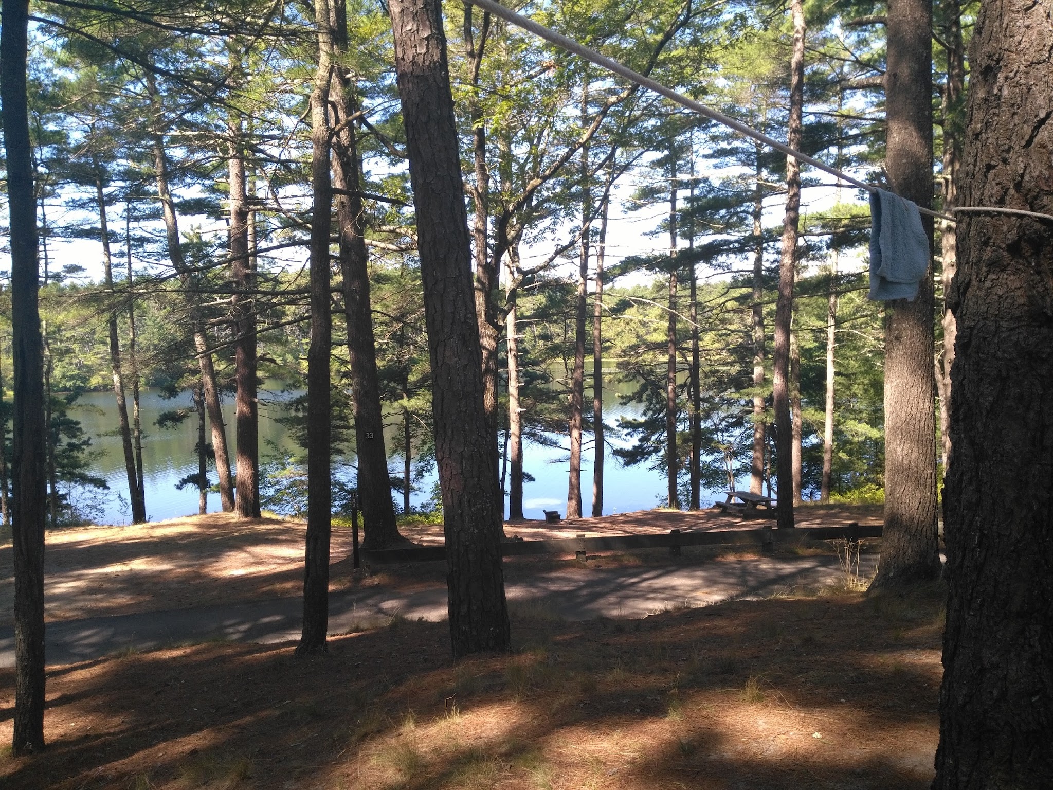 Myles Standish State Forest