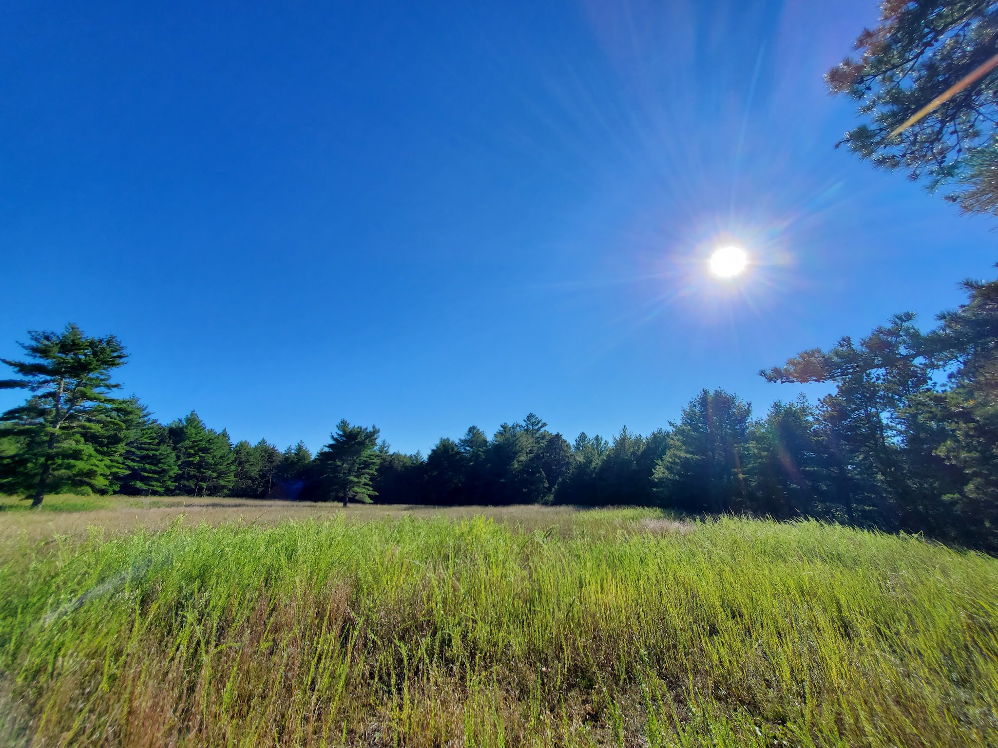 Myles Standish State Forest