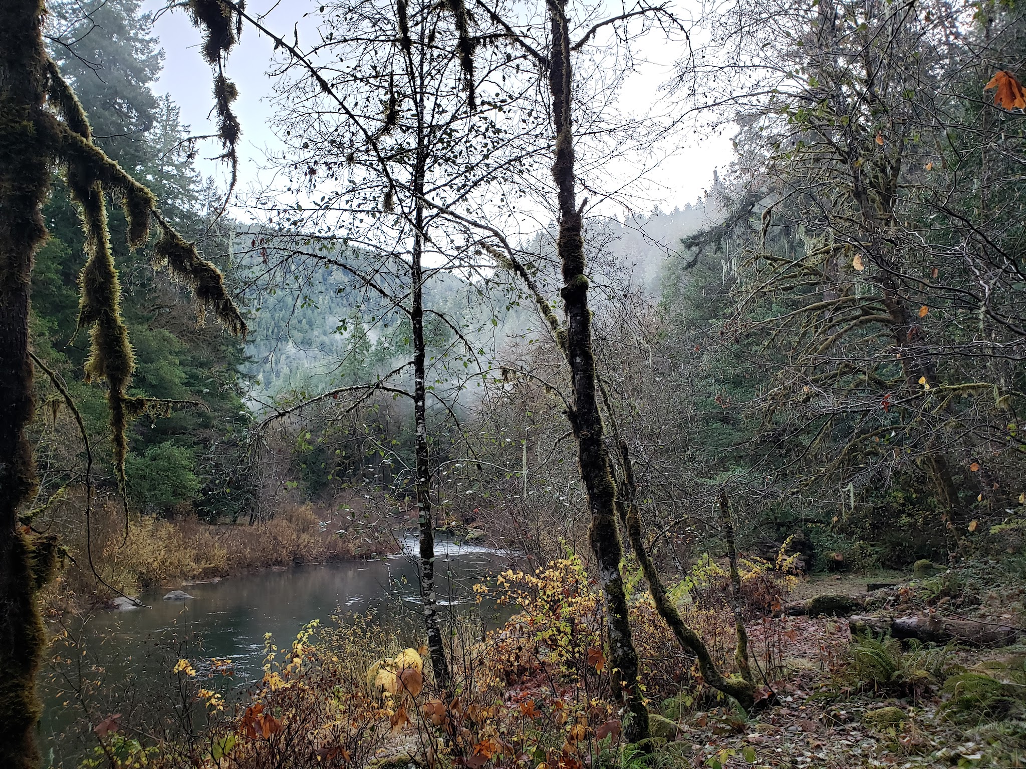 Myrtle Grove Campground