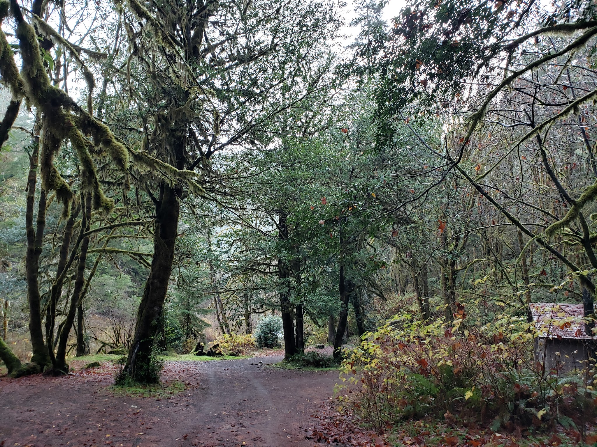 Myrtle Grove Campground