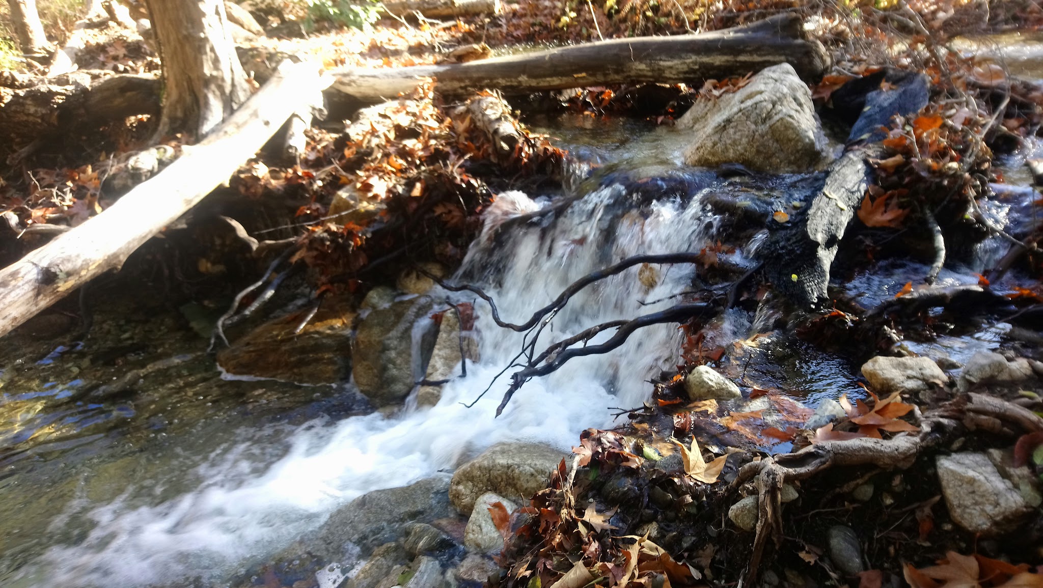 Nacimiento Campground