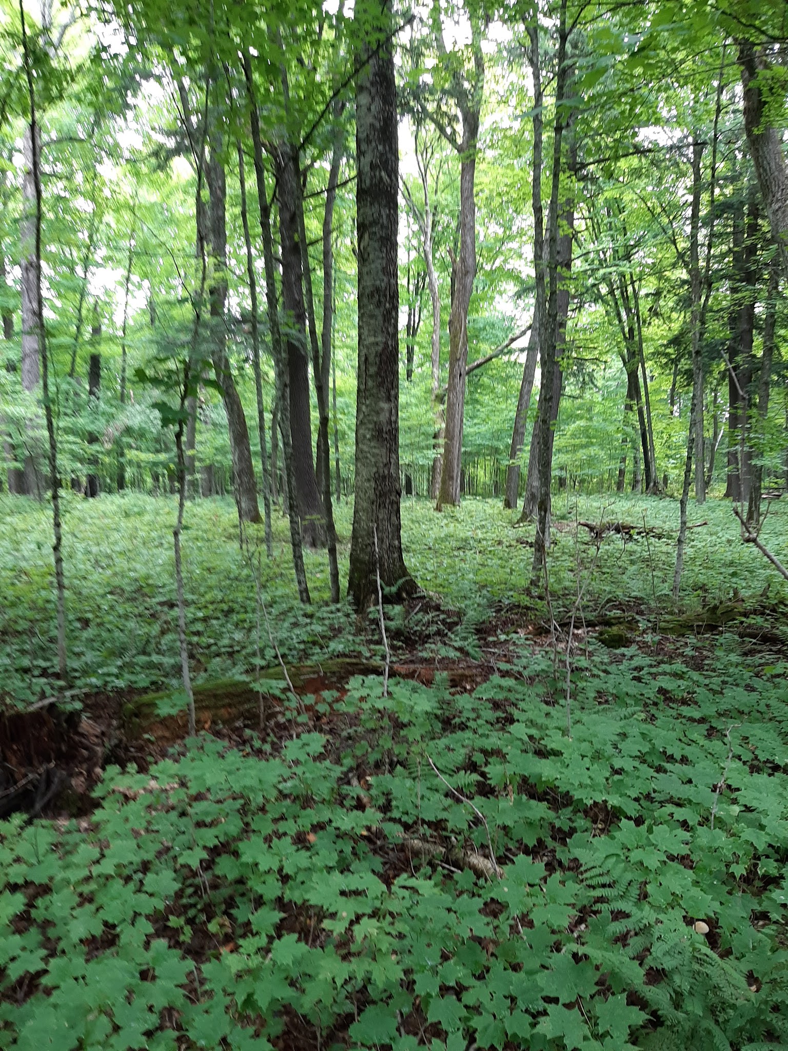 Namekagon Lake Recreation Area