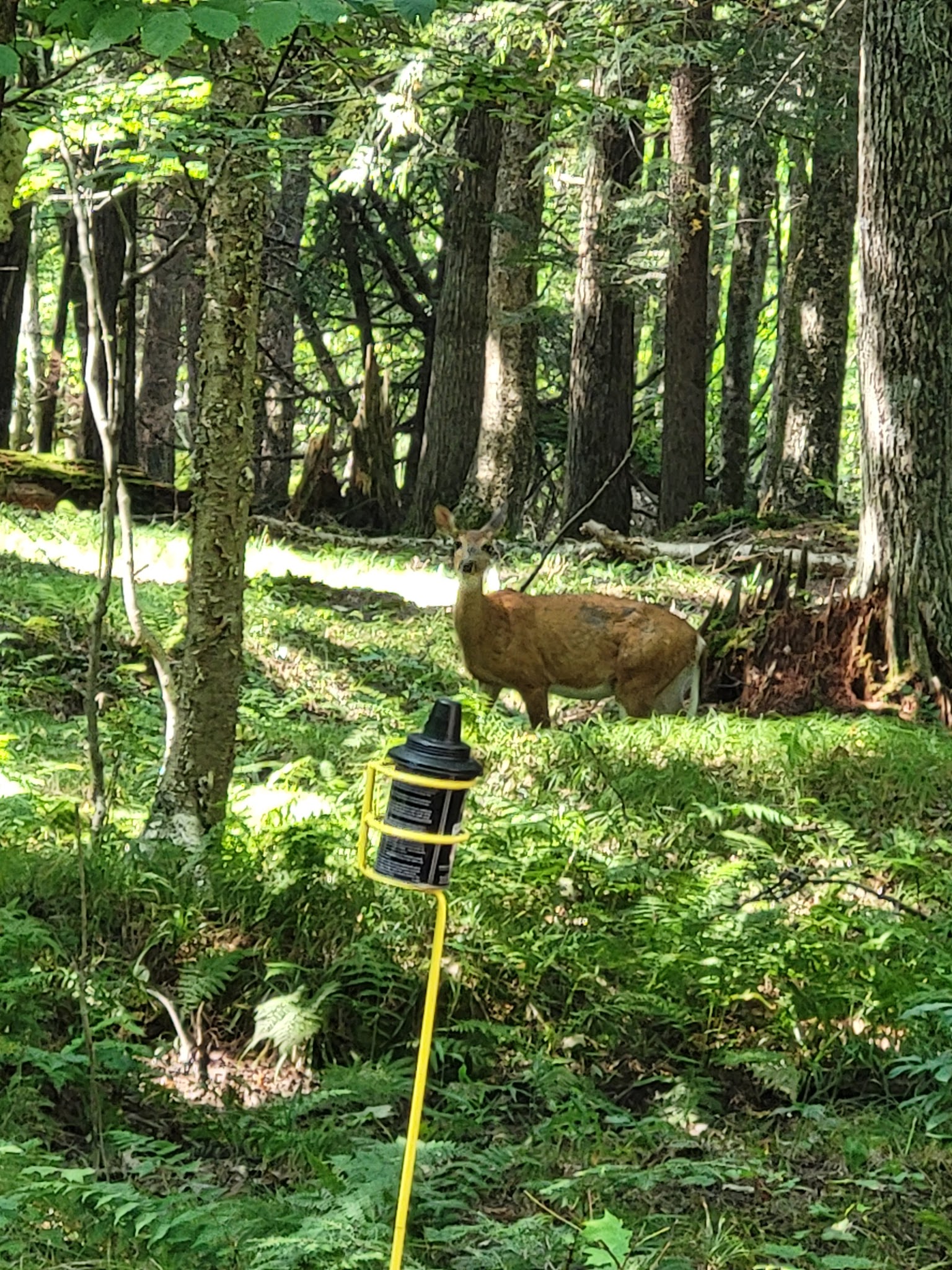 Namekagon Lake Recreation Area