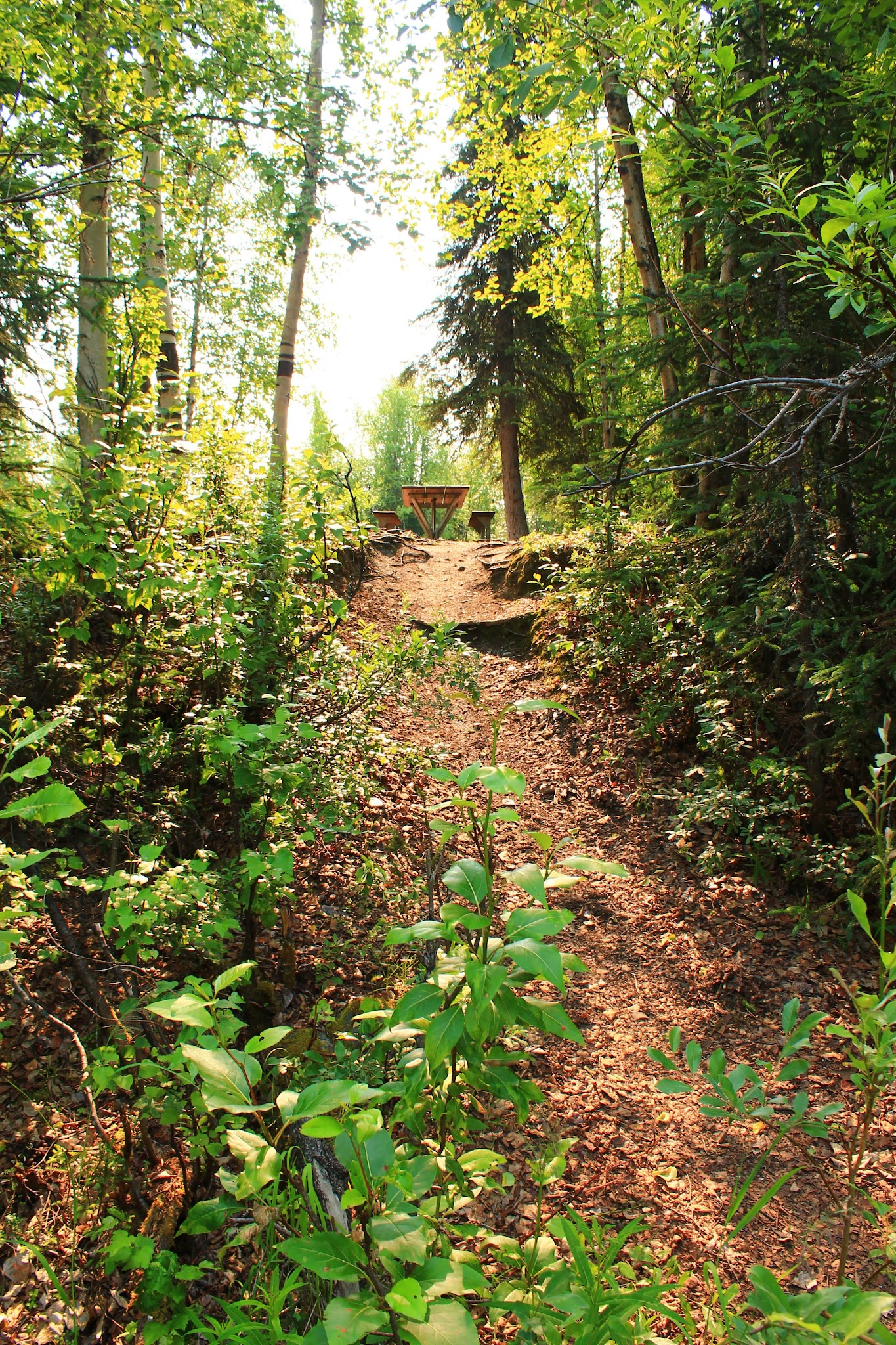 Nancy Lake State Recreation Site