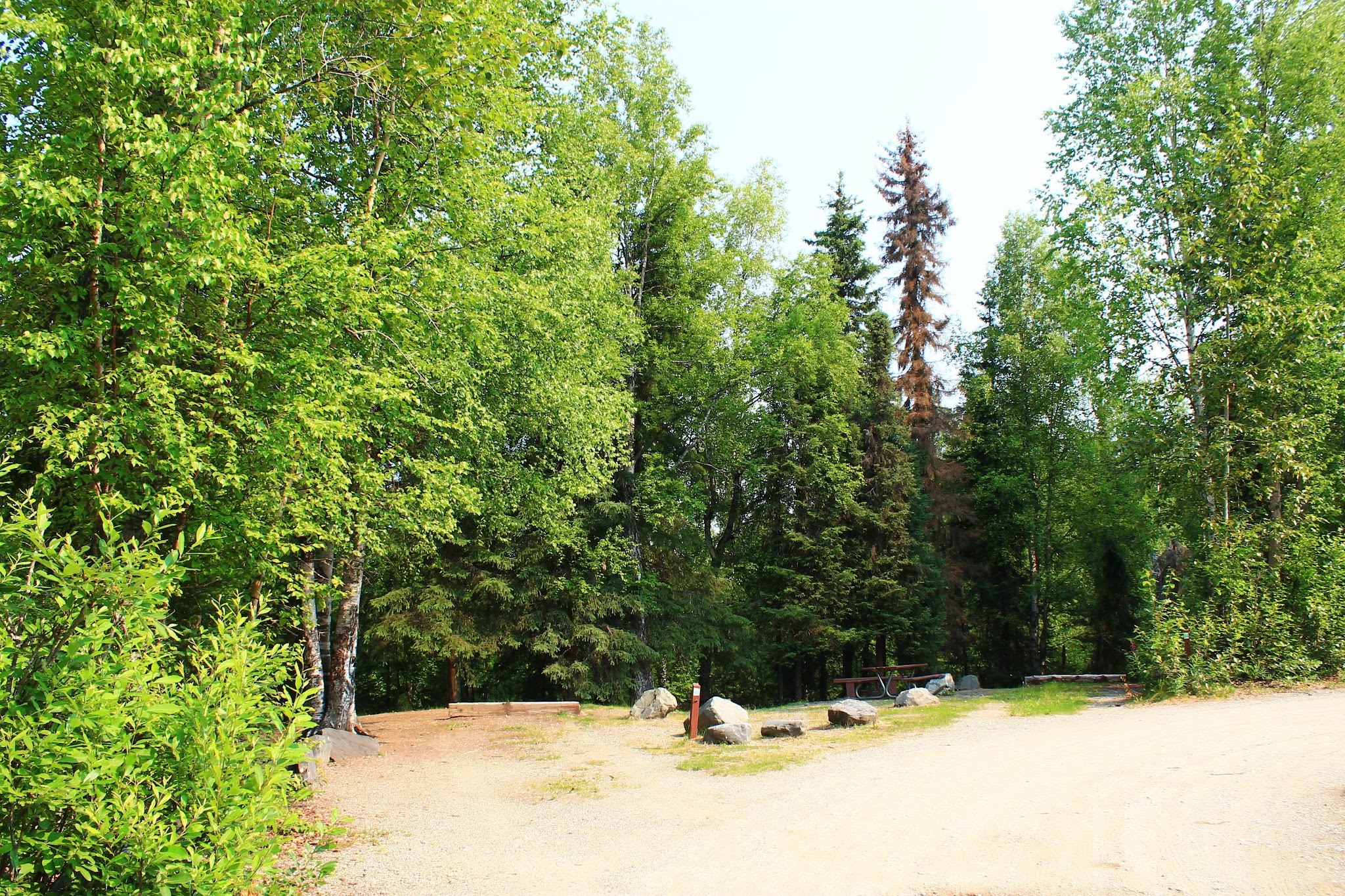 Nancy Lake State Recreation Site