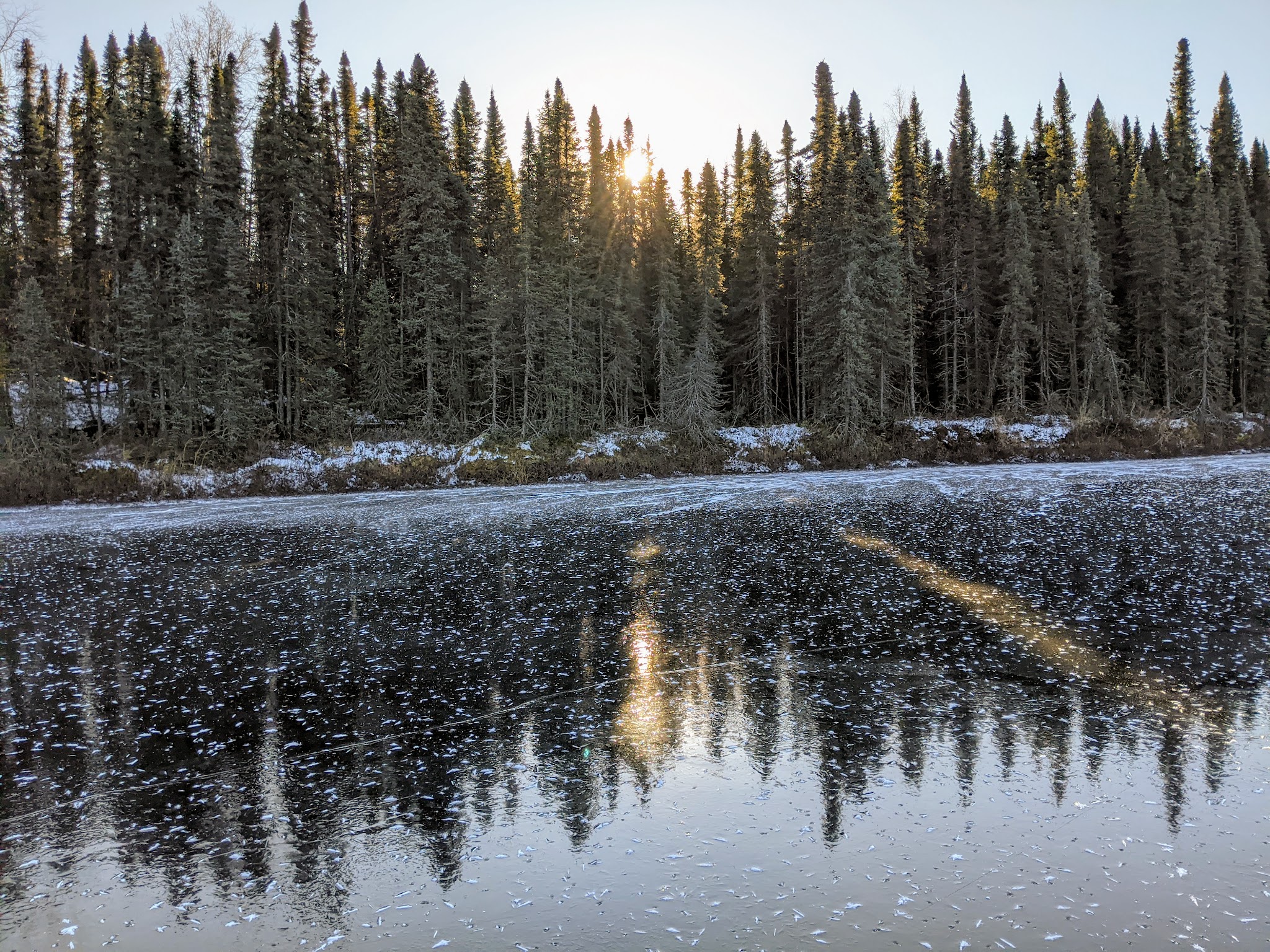 Nancy Lake State Recreation Area